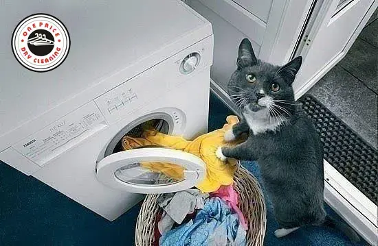 One Price Dry Cleaners Express Alterations - Image 6