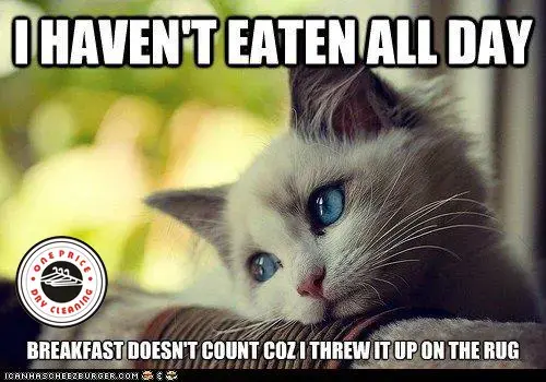 One Price Dry Cleaners Express Alterations thumbnail 14