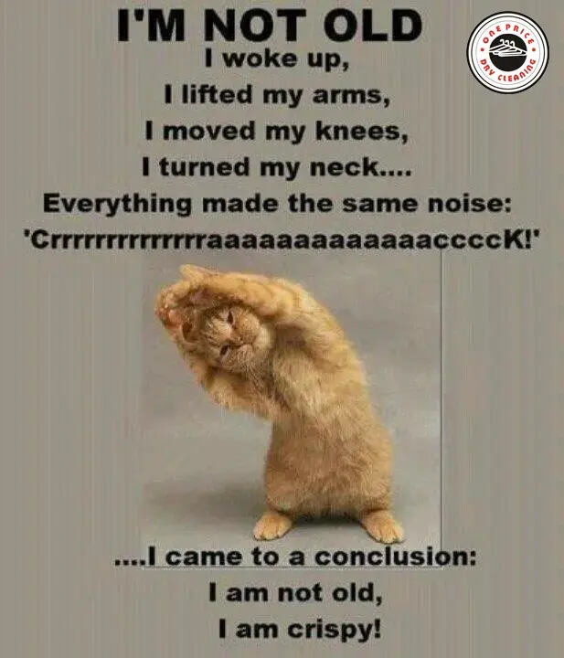 One Price Dry Cleaners Express Alterations thumbnail 13