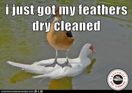 One Price Dry Cleaners Express Alterations thumbnail 12