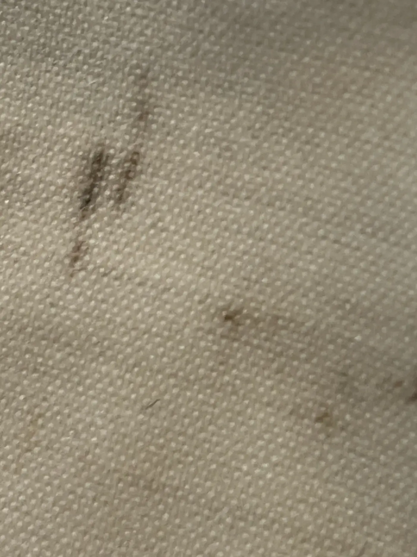 One Price Dry Cleaners Express Alterations - Image 20