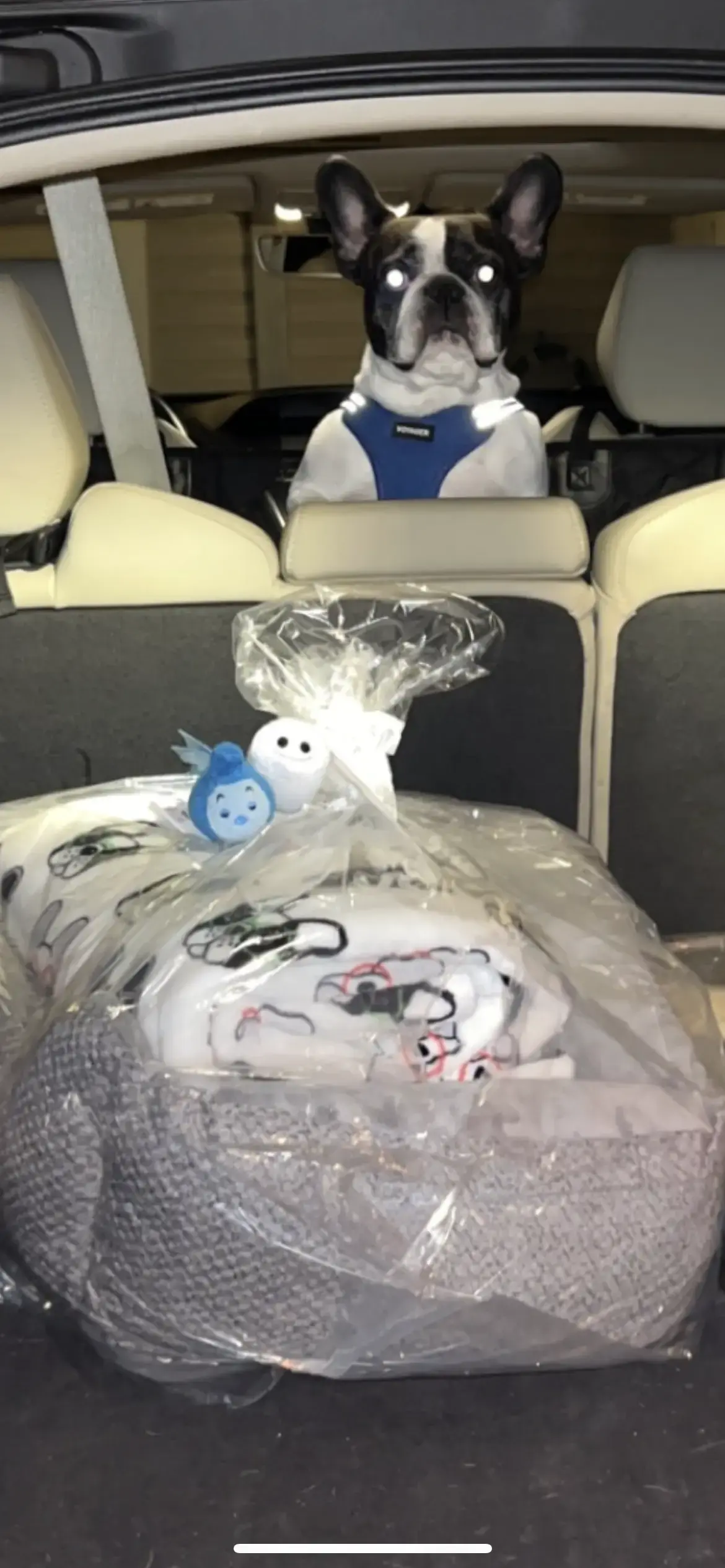 One Stop Laundry thumbnail 15