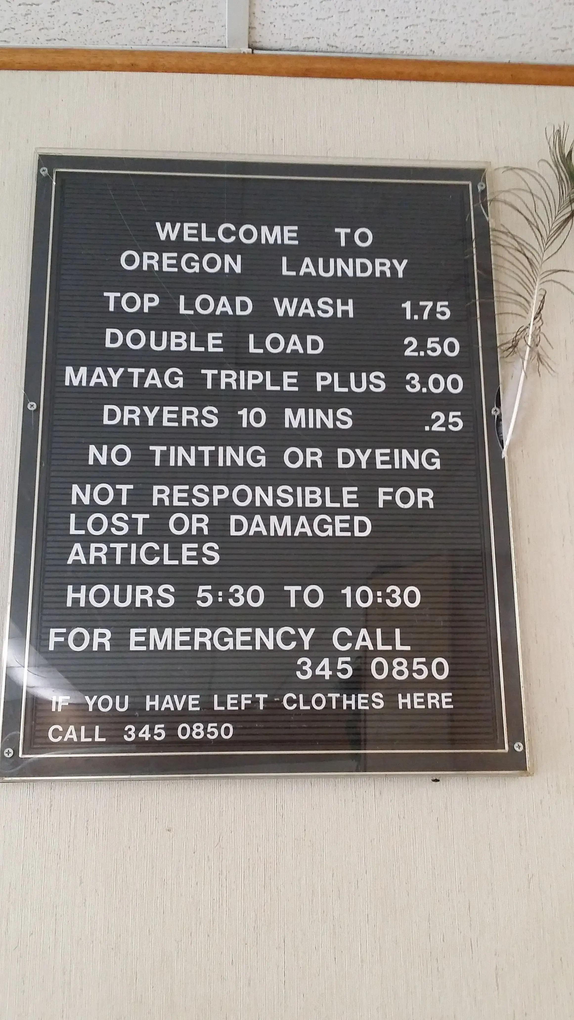 Oregon Laundry thumbnail 9