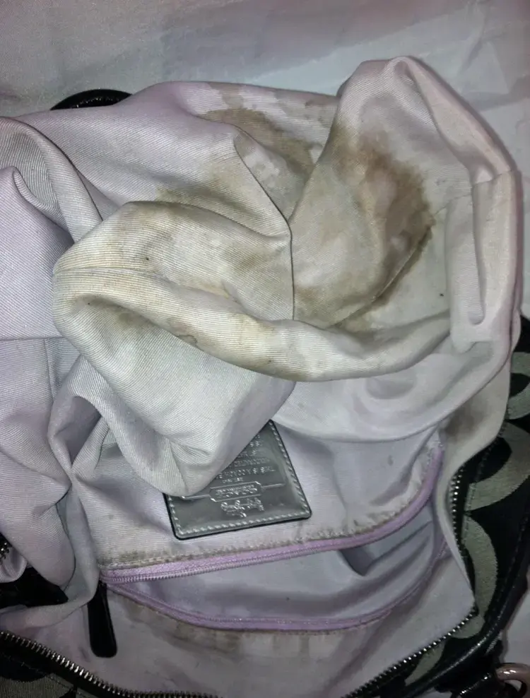 OrganiCare Dry Cleaning thumbnail 24