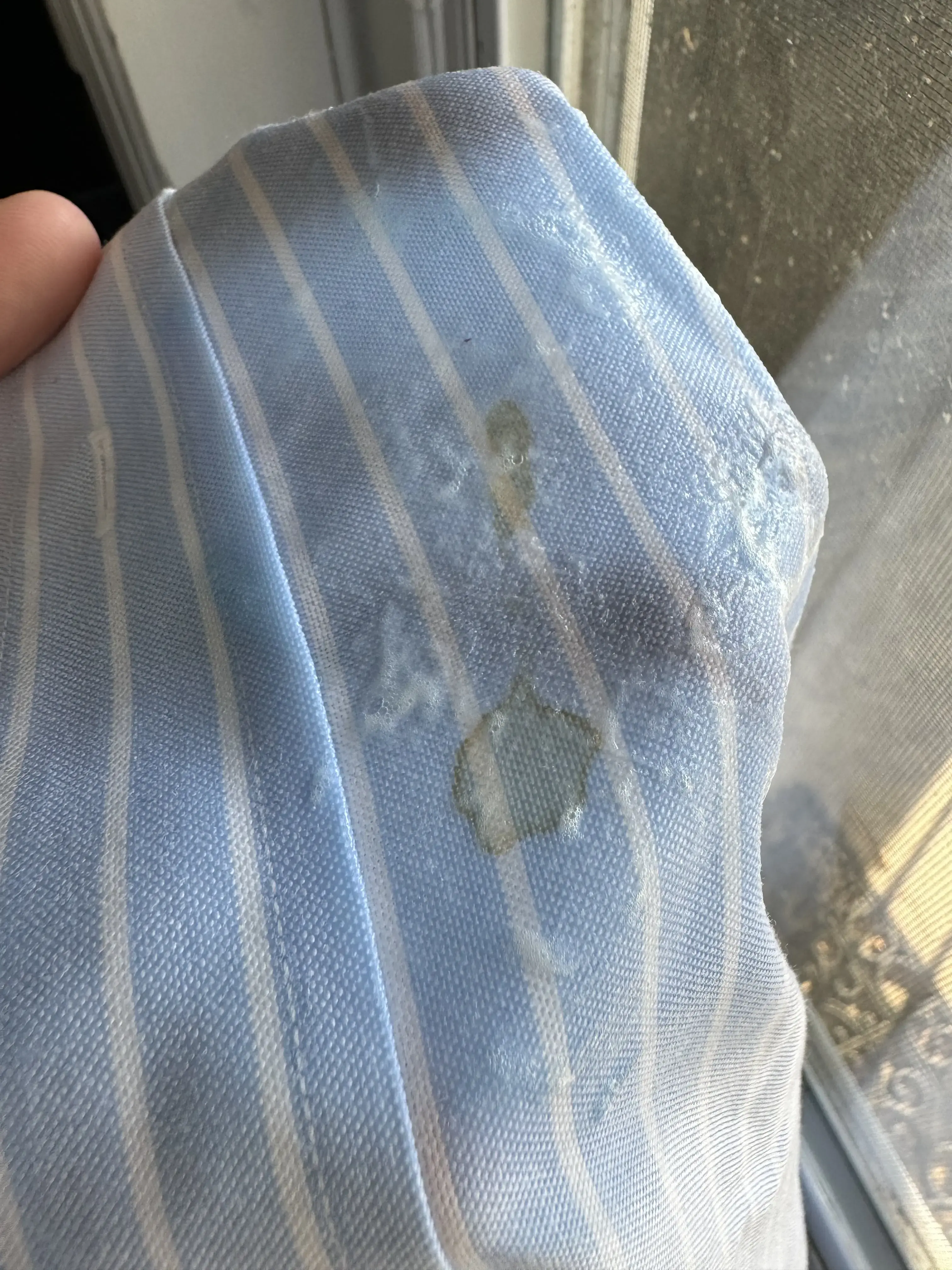 Orlando Cleaners 24/7 - SODO thumbnail 8