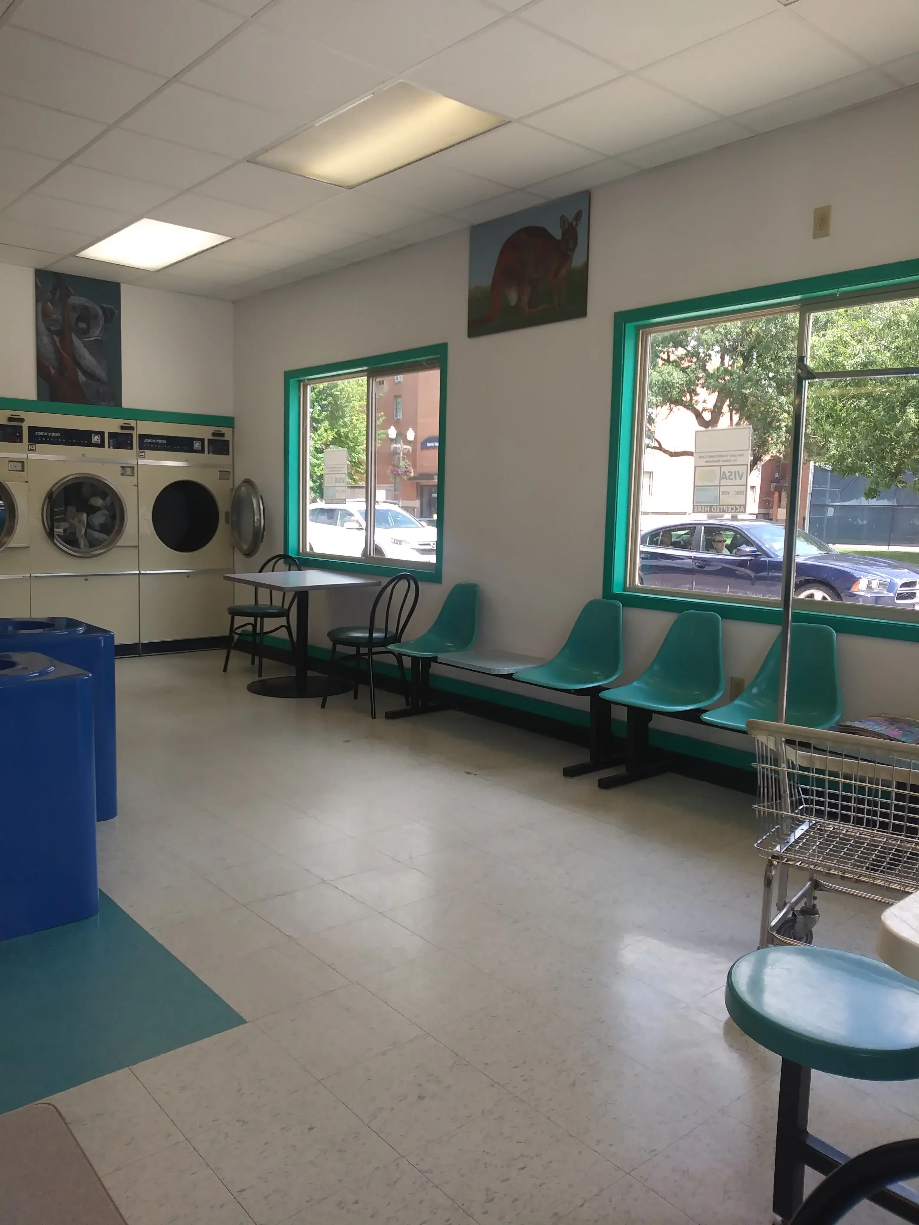 Outback Wash Shack thumbnail 3