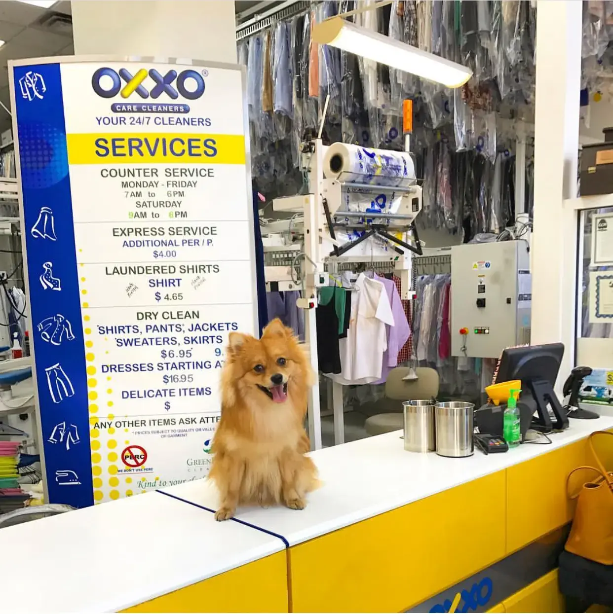 Oxxo Care Cleaners Coral Gables thumbnail 4