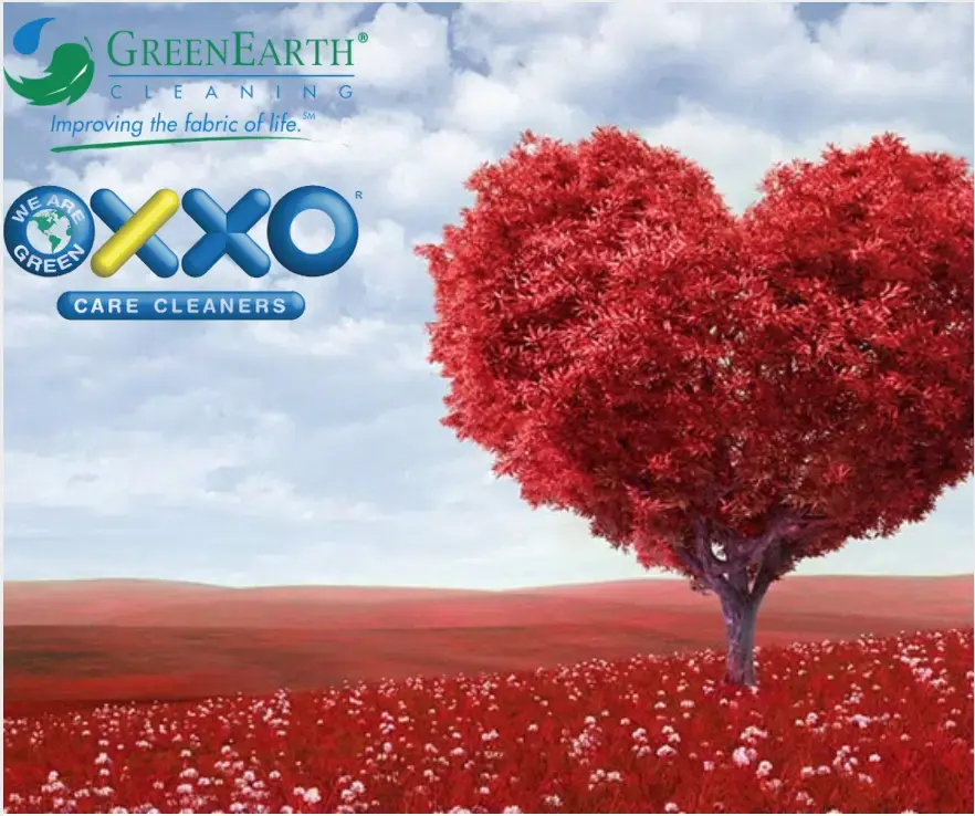 Oxxo Care Cleaners Coral Gables thumbnail 17