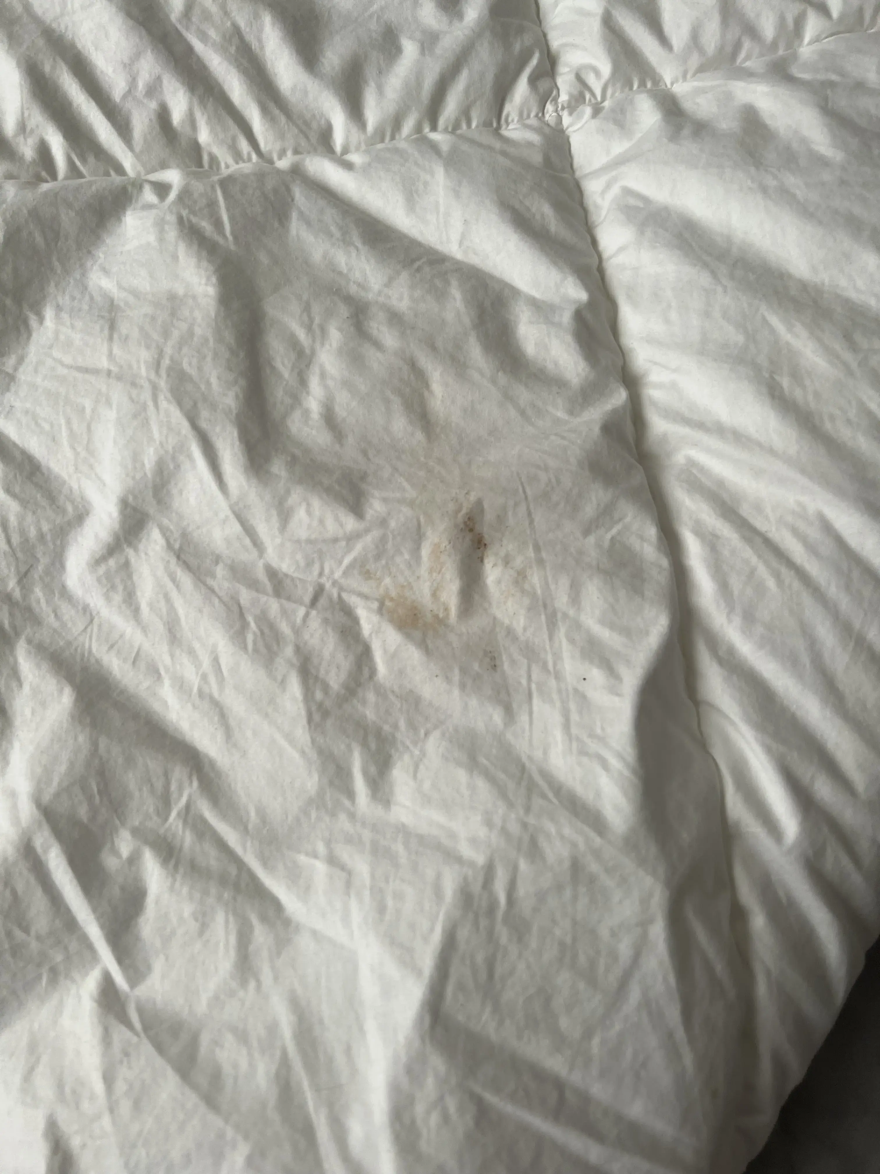 OXXO Cleaners that Care - Las Olas thumbnail 12