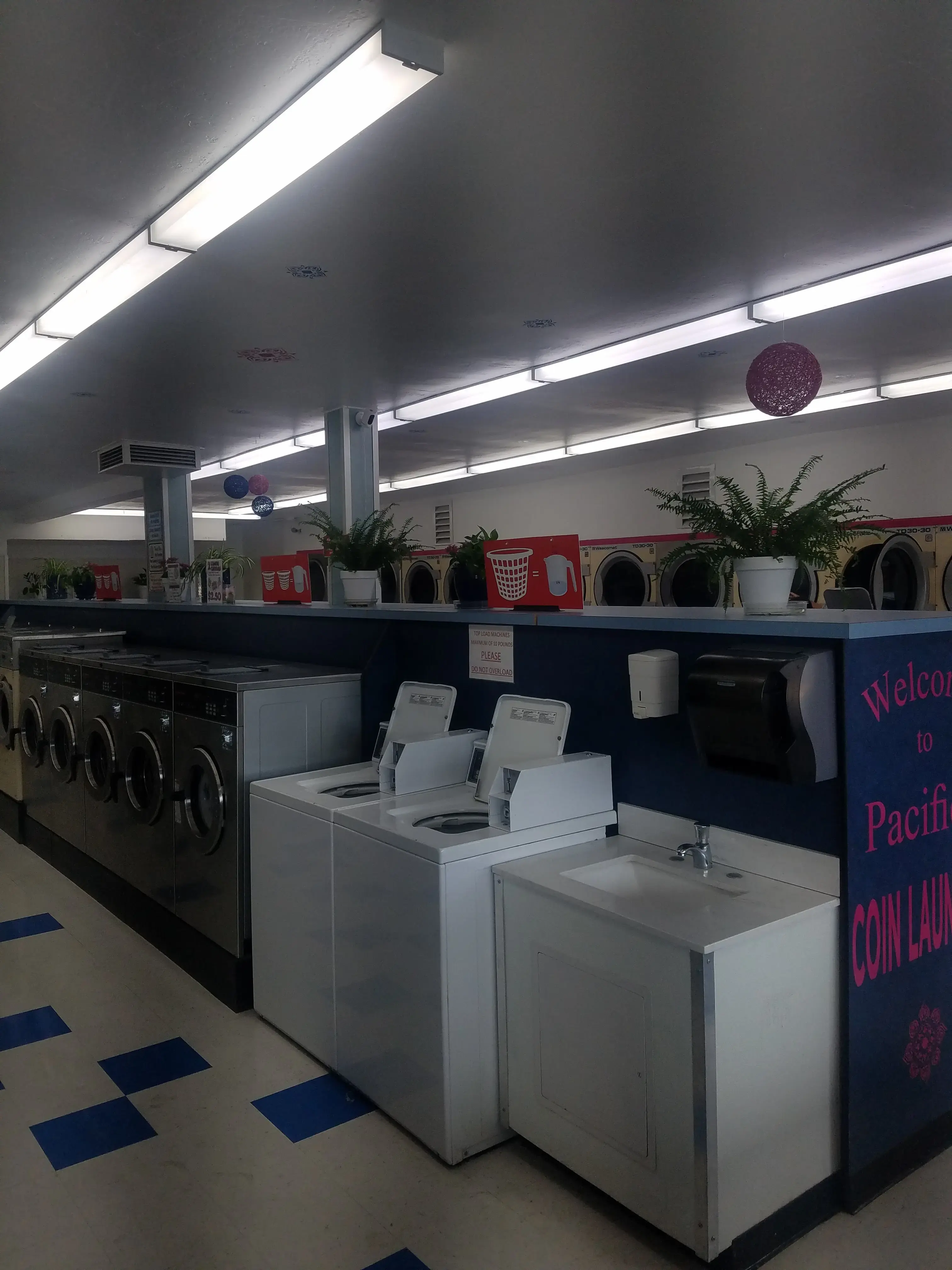 Pacifica Laundry - Image 11