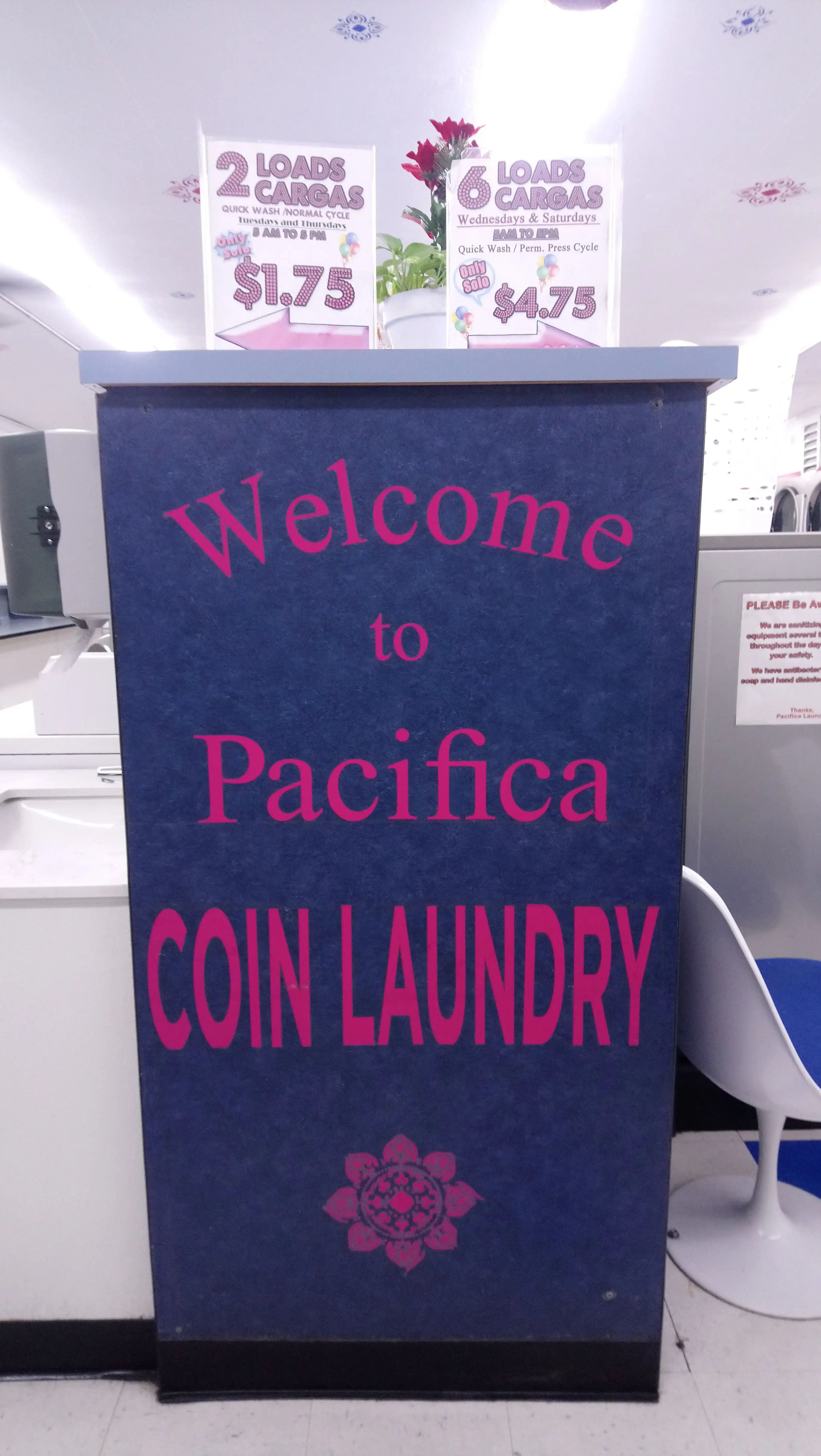 Pacifica Laundry thumbnail 10