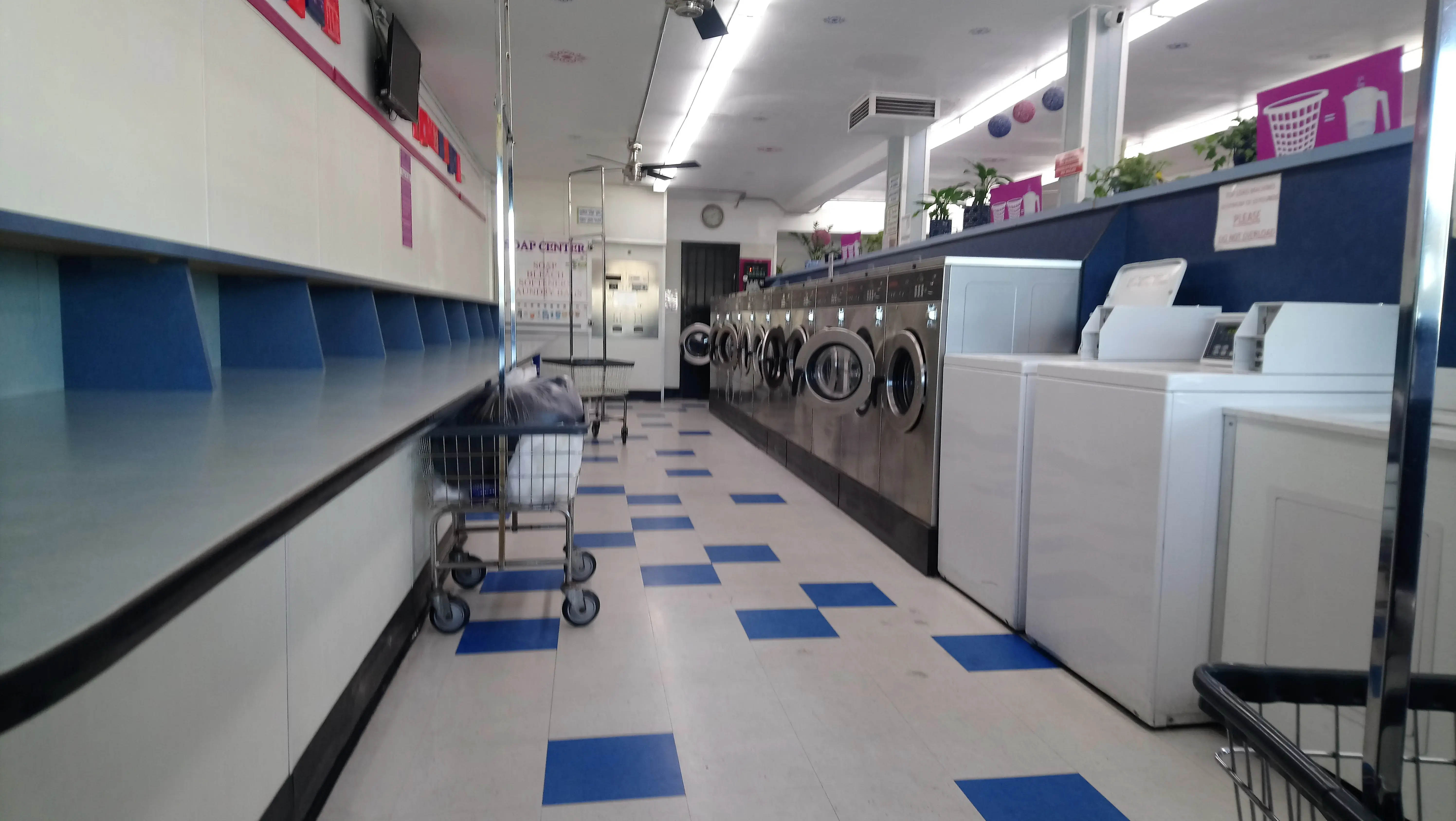 Pacifica Laundry thumbnail 9