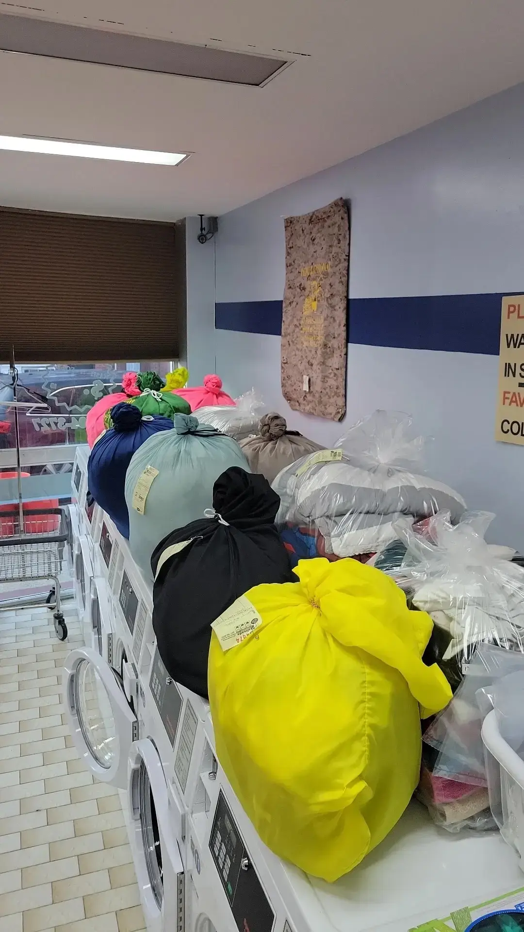 Palisade Laundromat - Image 4