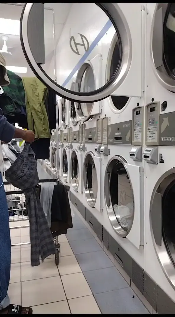 Palm Laundry - Boca thumbnail 17