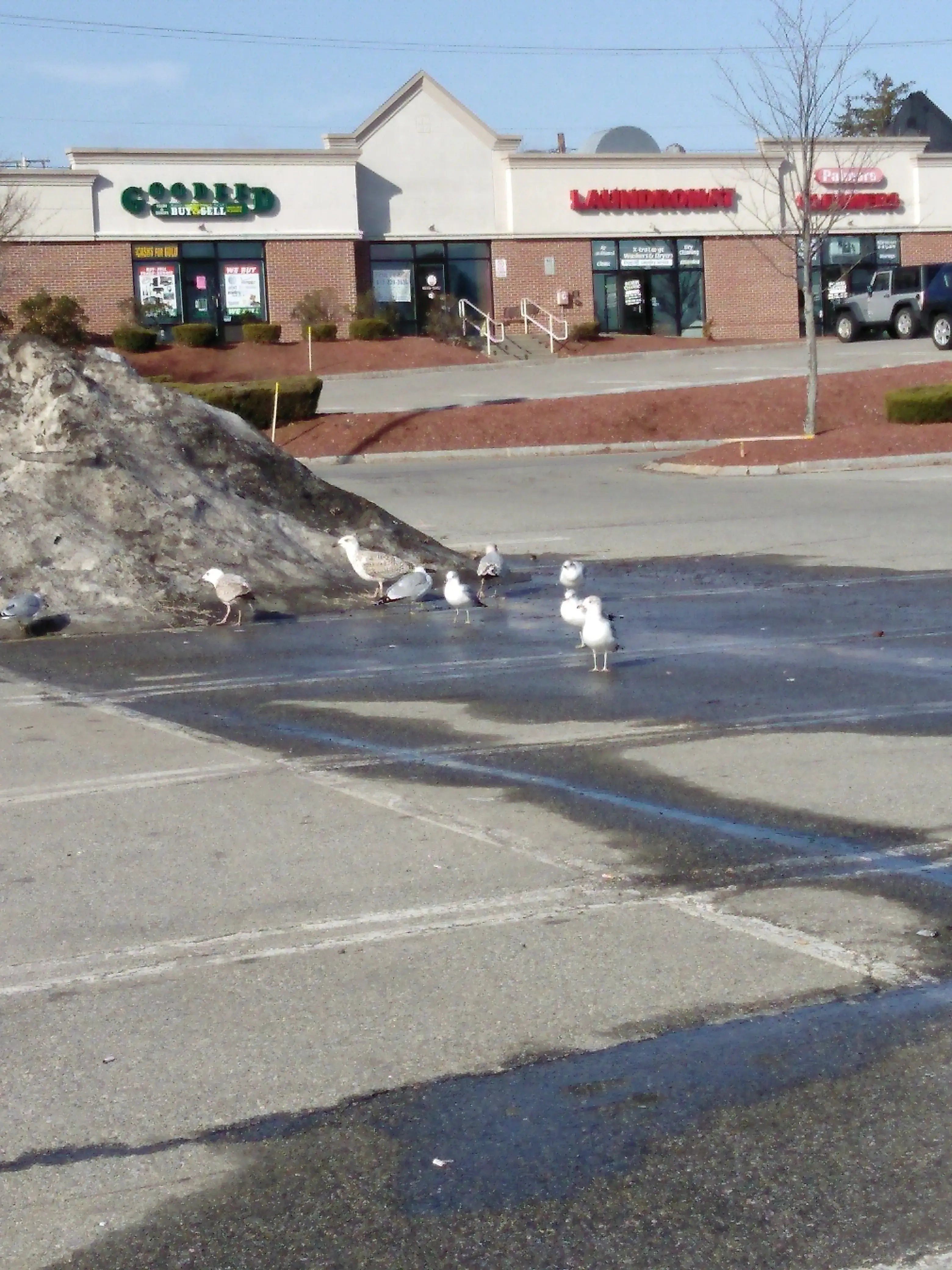 Palmer's Cleaners - Image 3