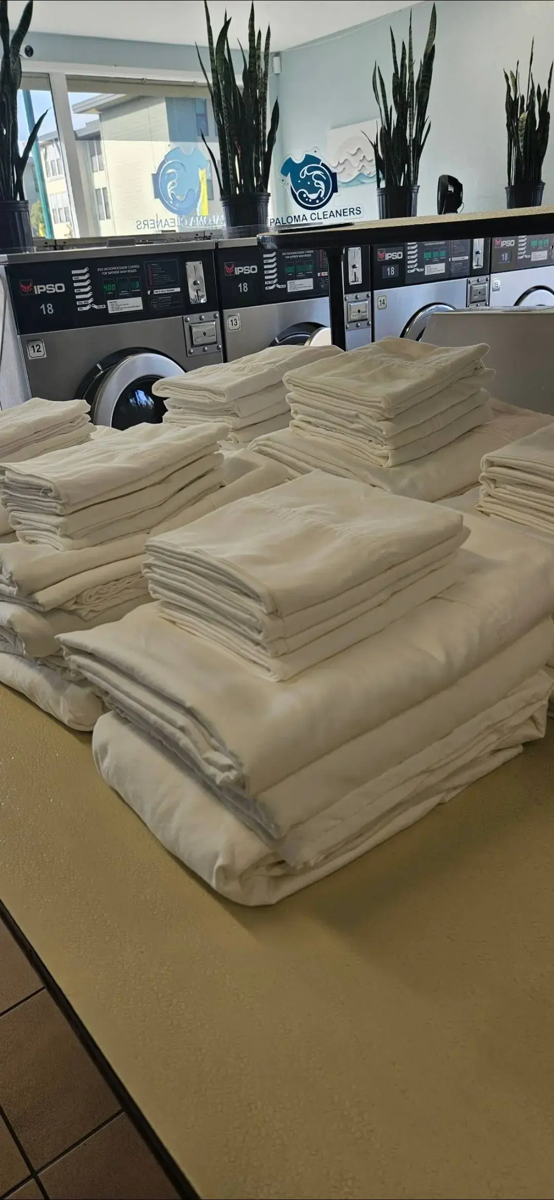 Paloma Cleaners & Laundry - Image 13