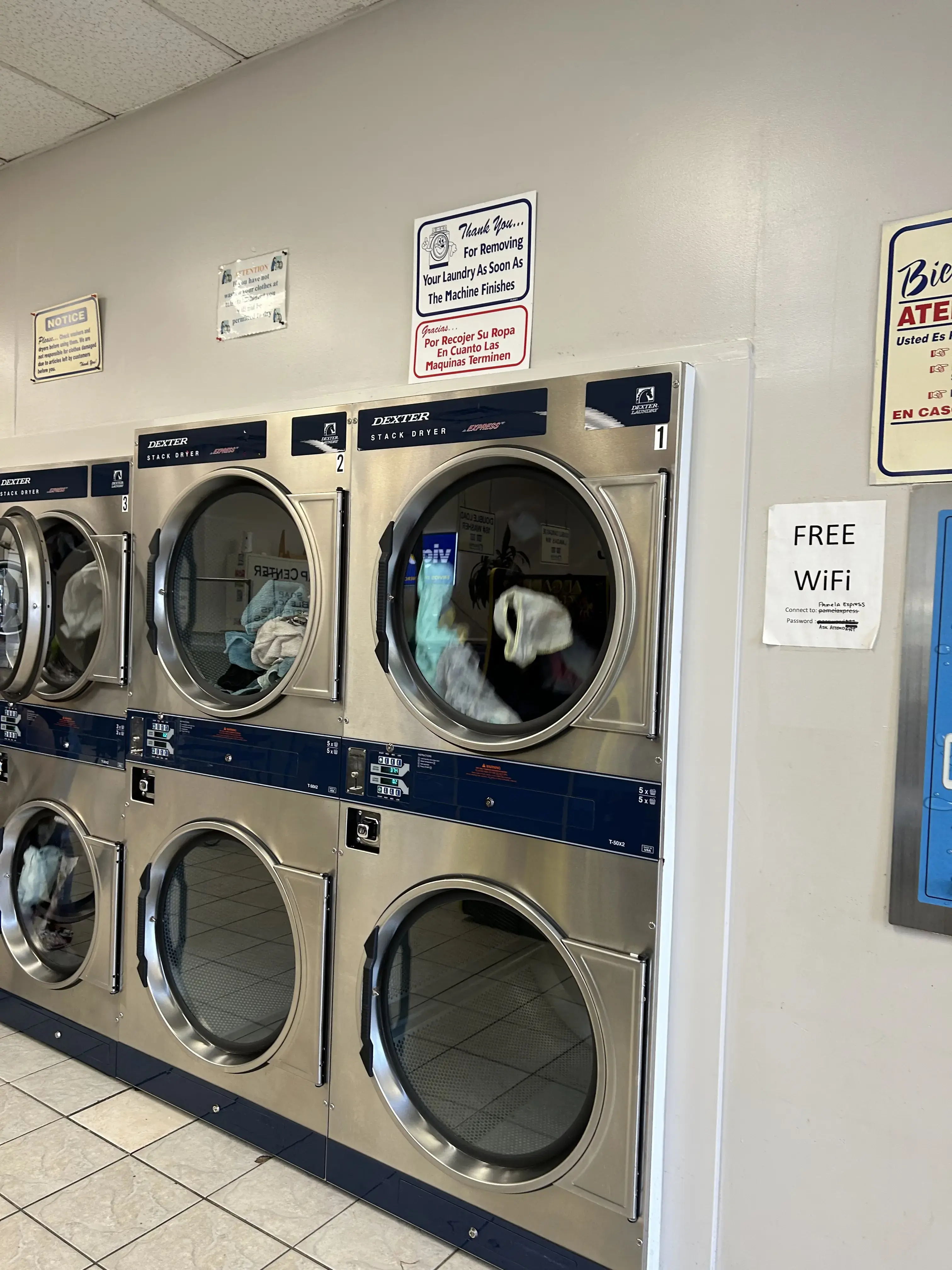 Pamela Express Coin Laundry thumbnail 15