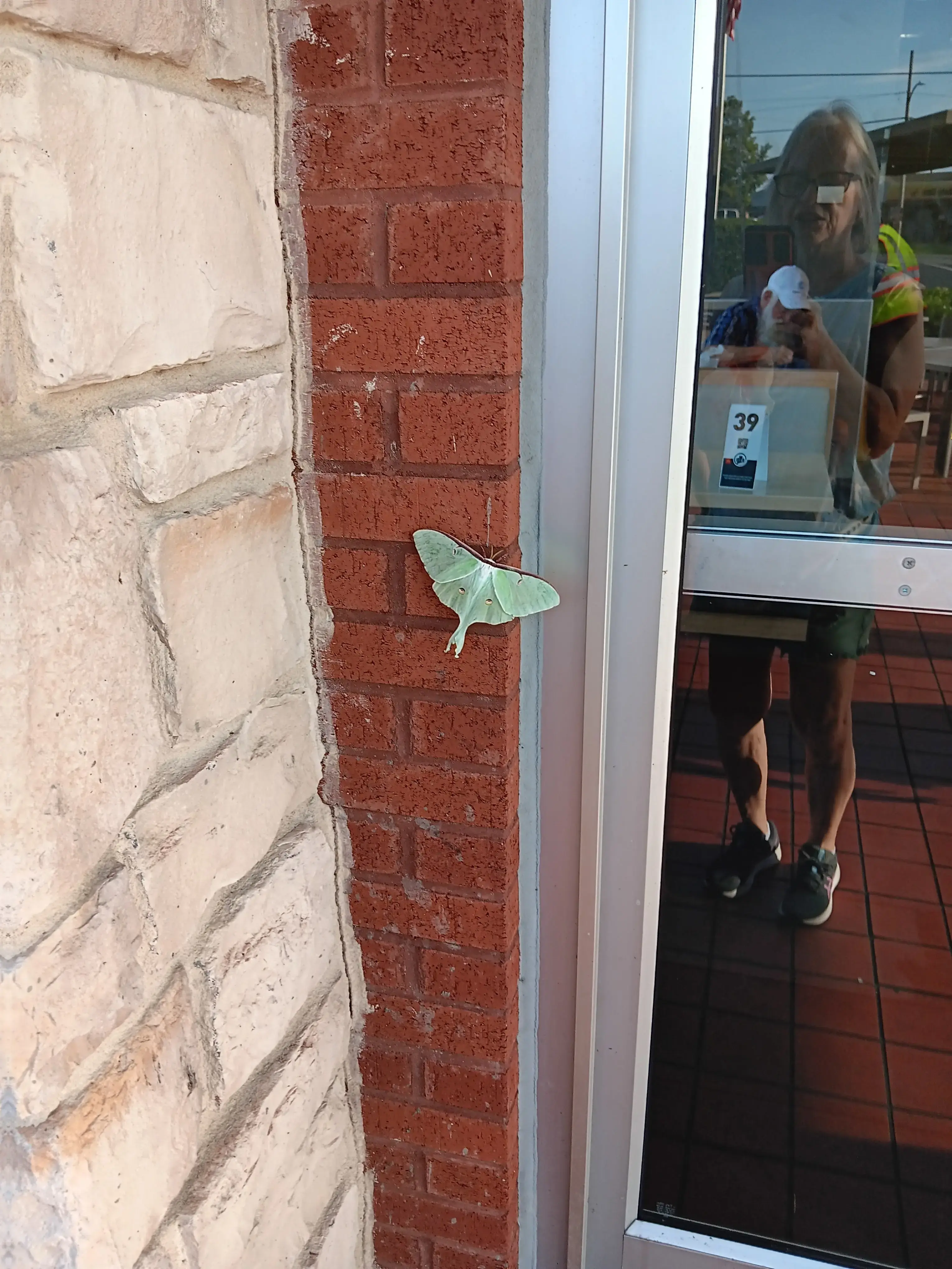 Panther Laundromat - Image 16