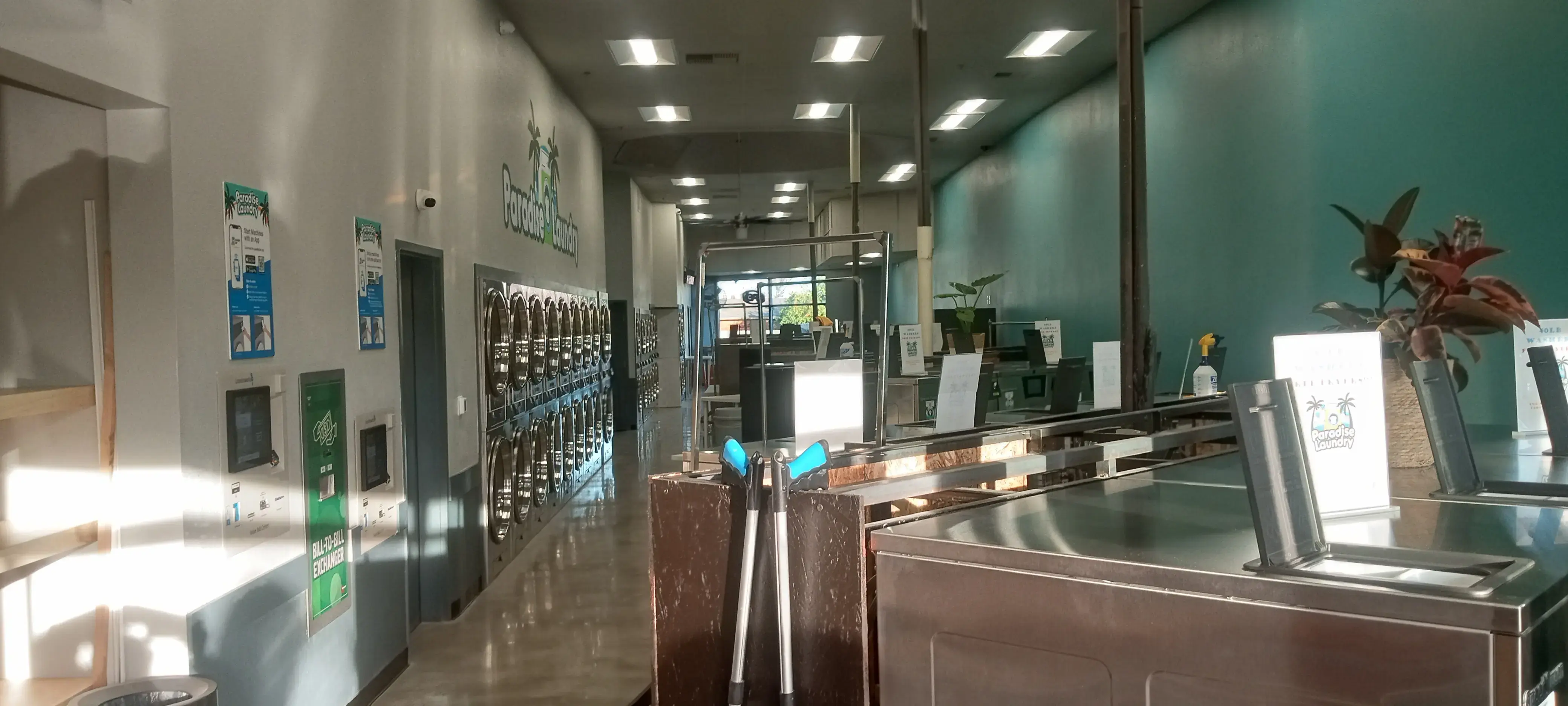 Paradise Laundry - Image 12