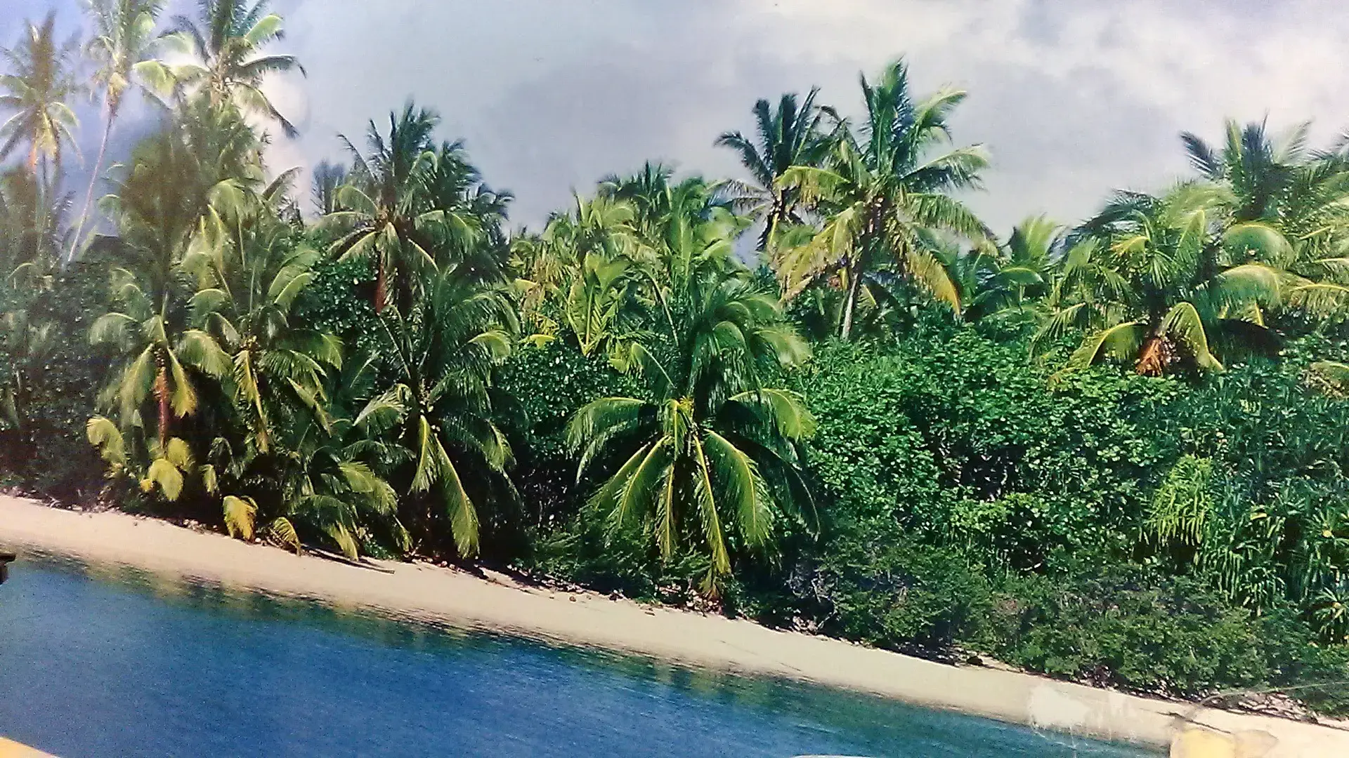 Paradise Laundry - Image 18
