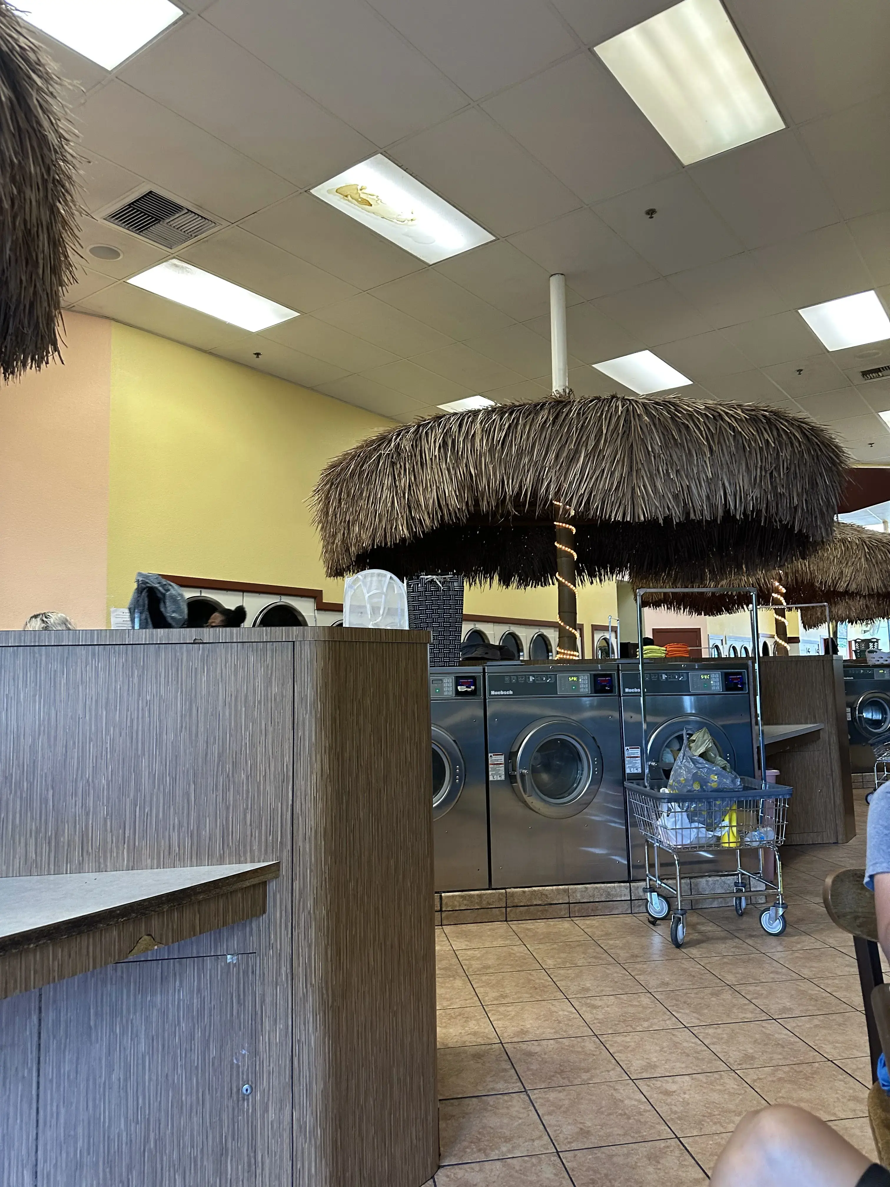 Paradise Laundry - Image 5