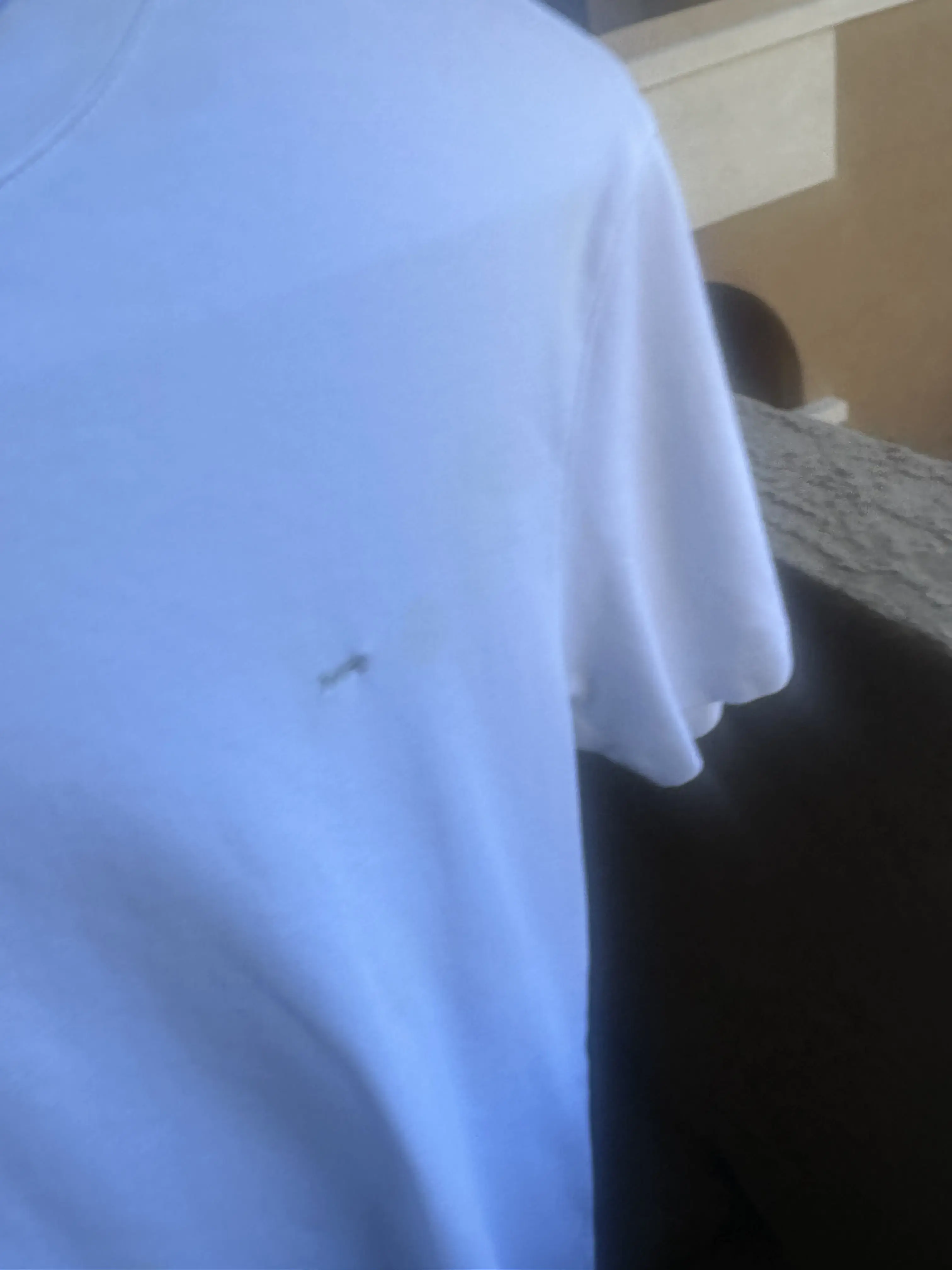 Park Avenue Cleaners thumbnail 9