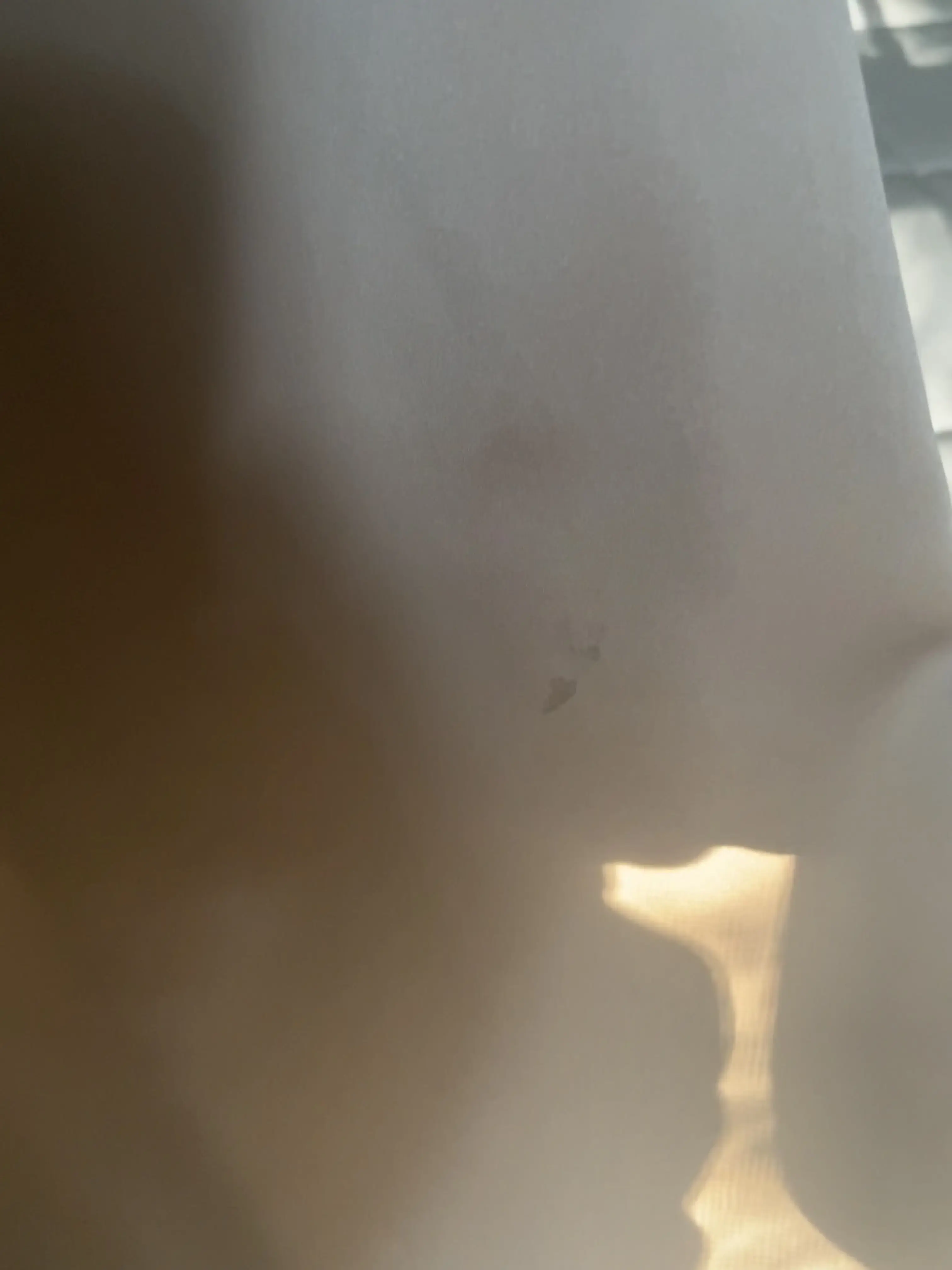 Parkway Cleaners thumbnail 3