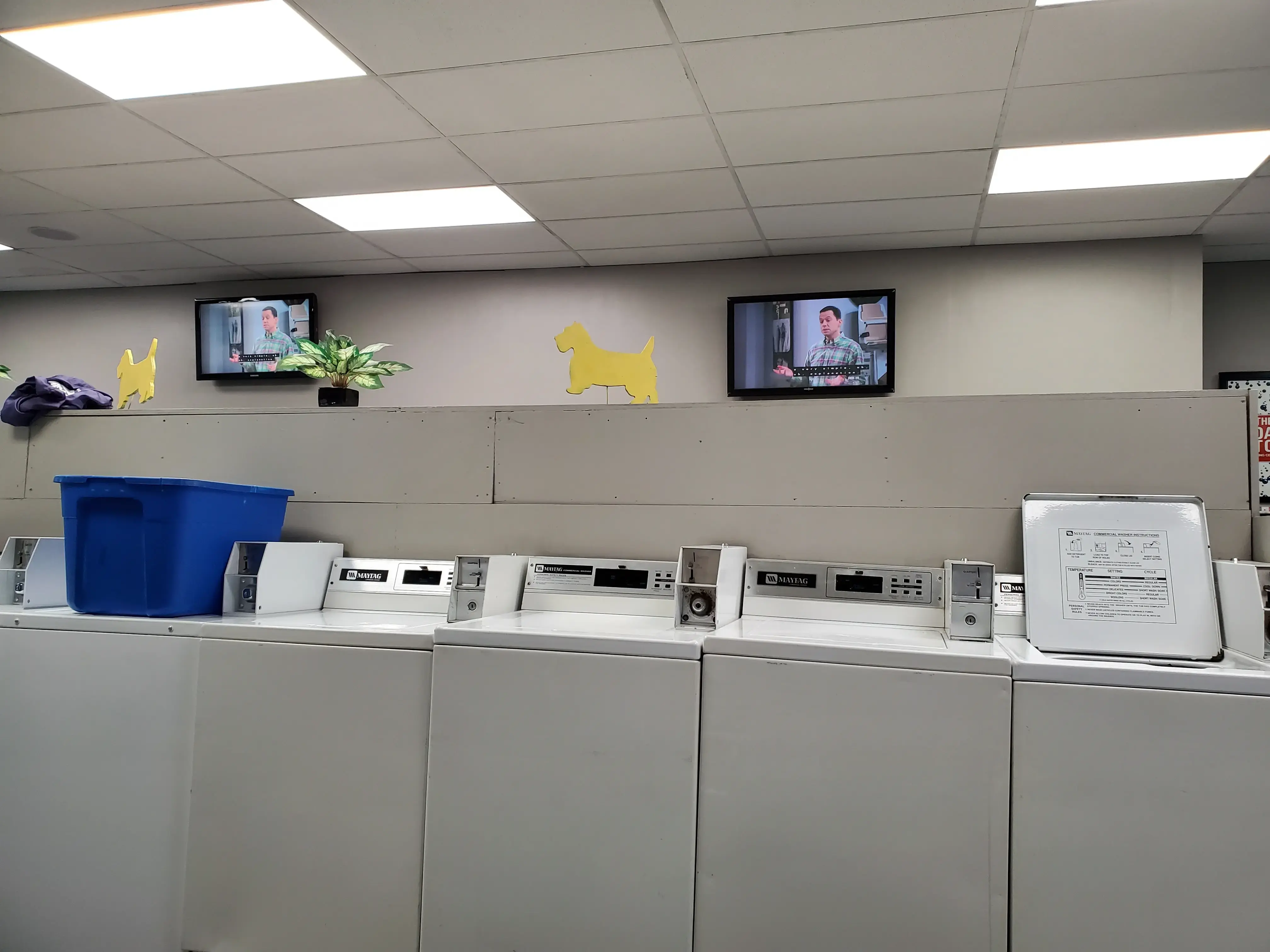 Payne Ave Laundromat thumbnail 19