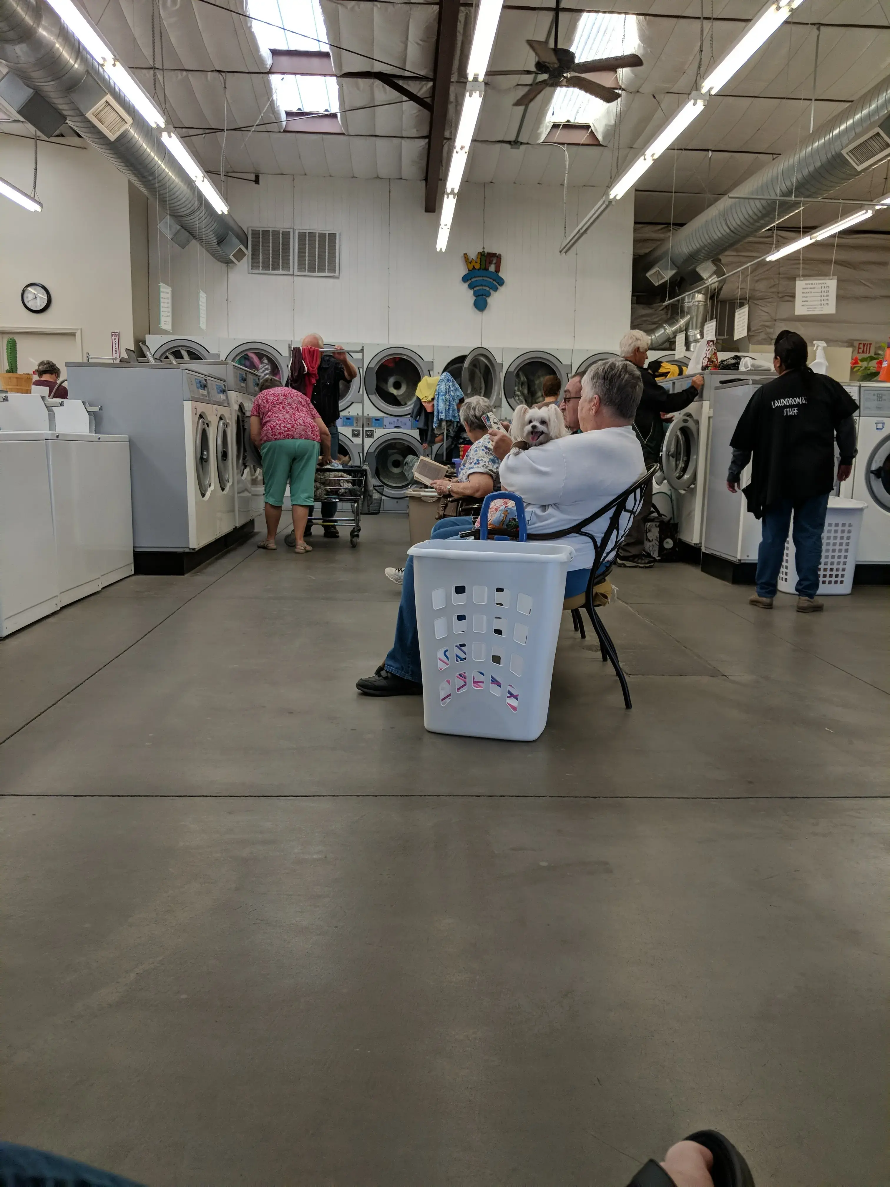 Payson Drive Laundromat - Image 7