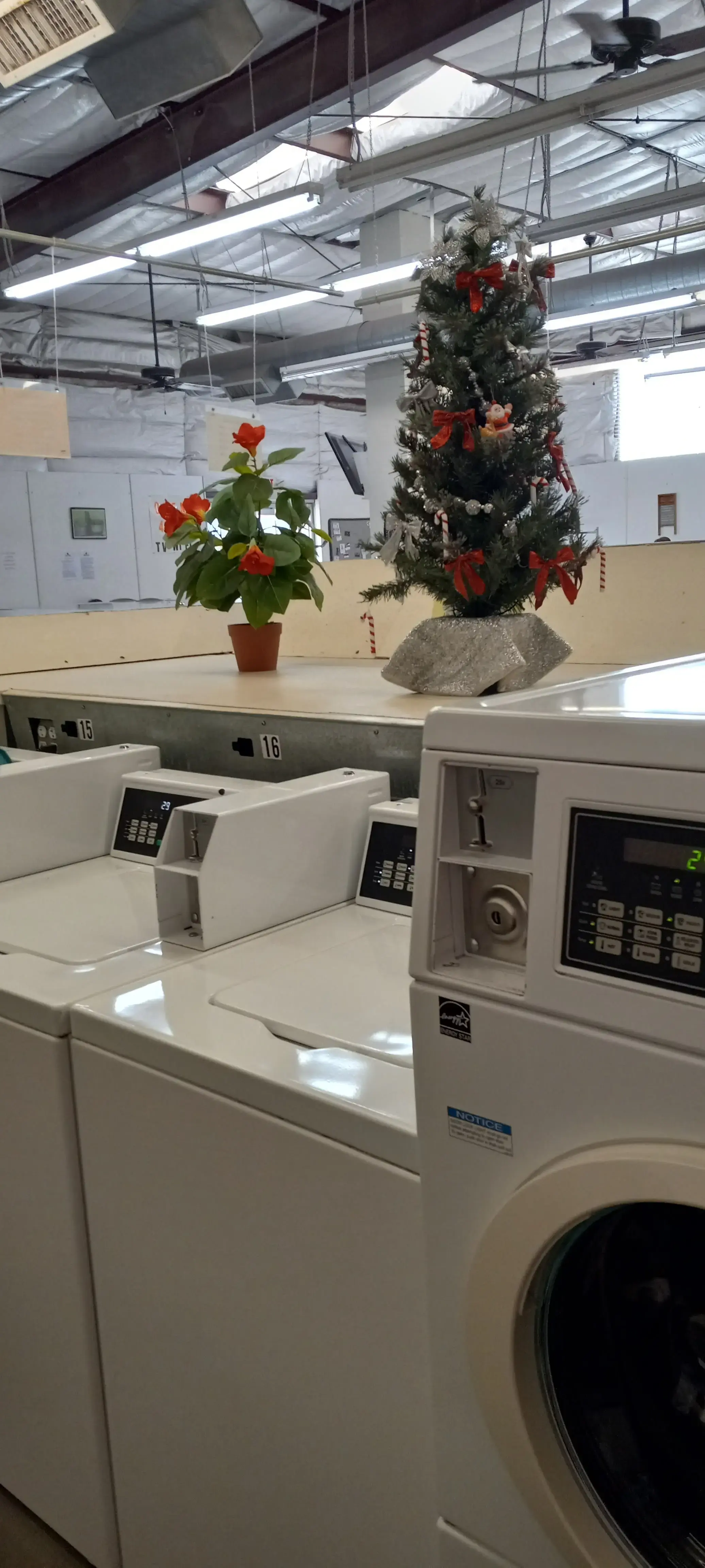 Payson Drive Laundromat thumbnail 5