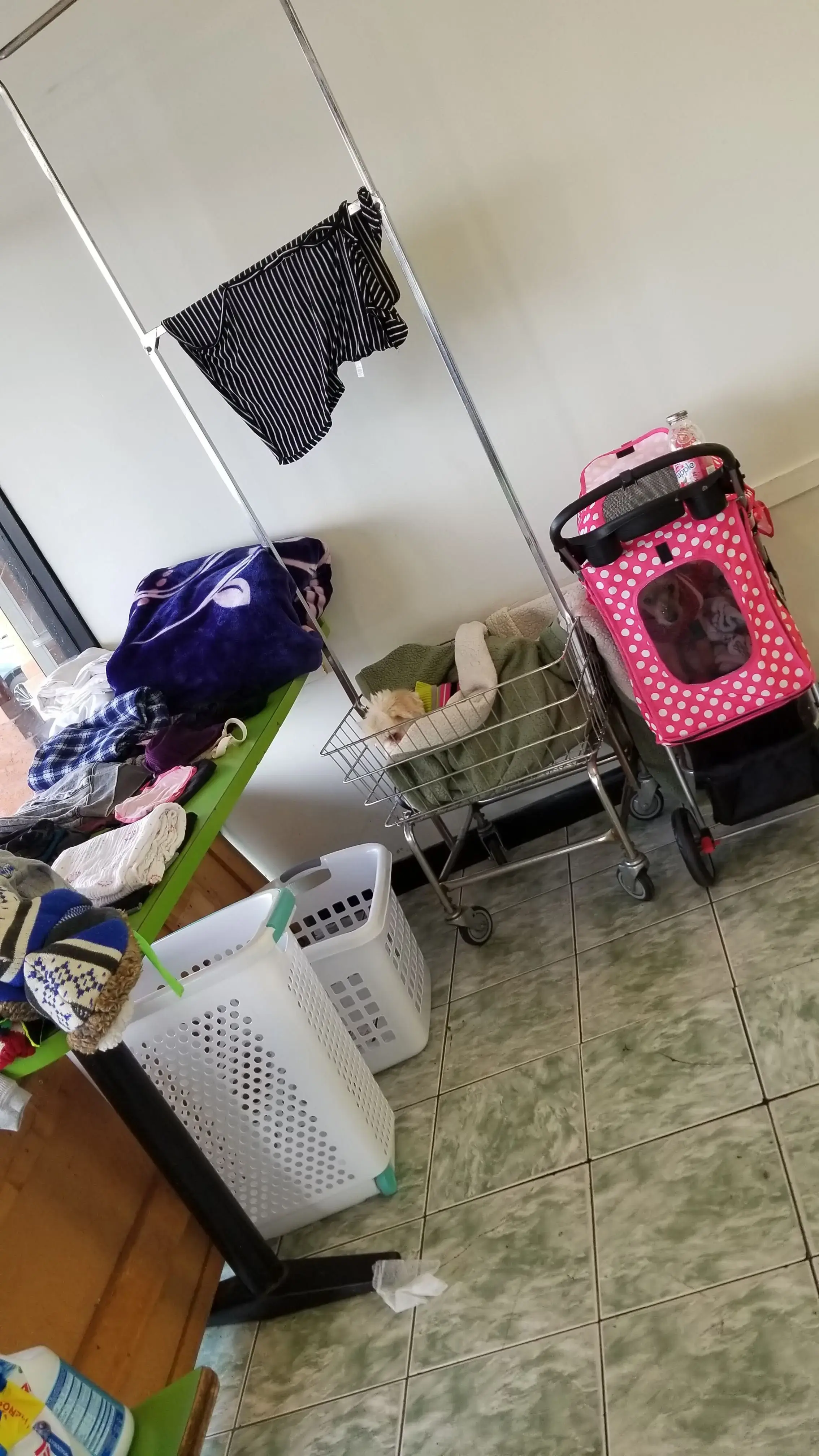 PB Coin Laundry - Image 12