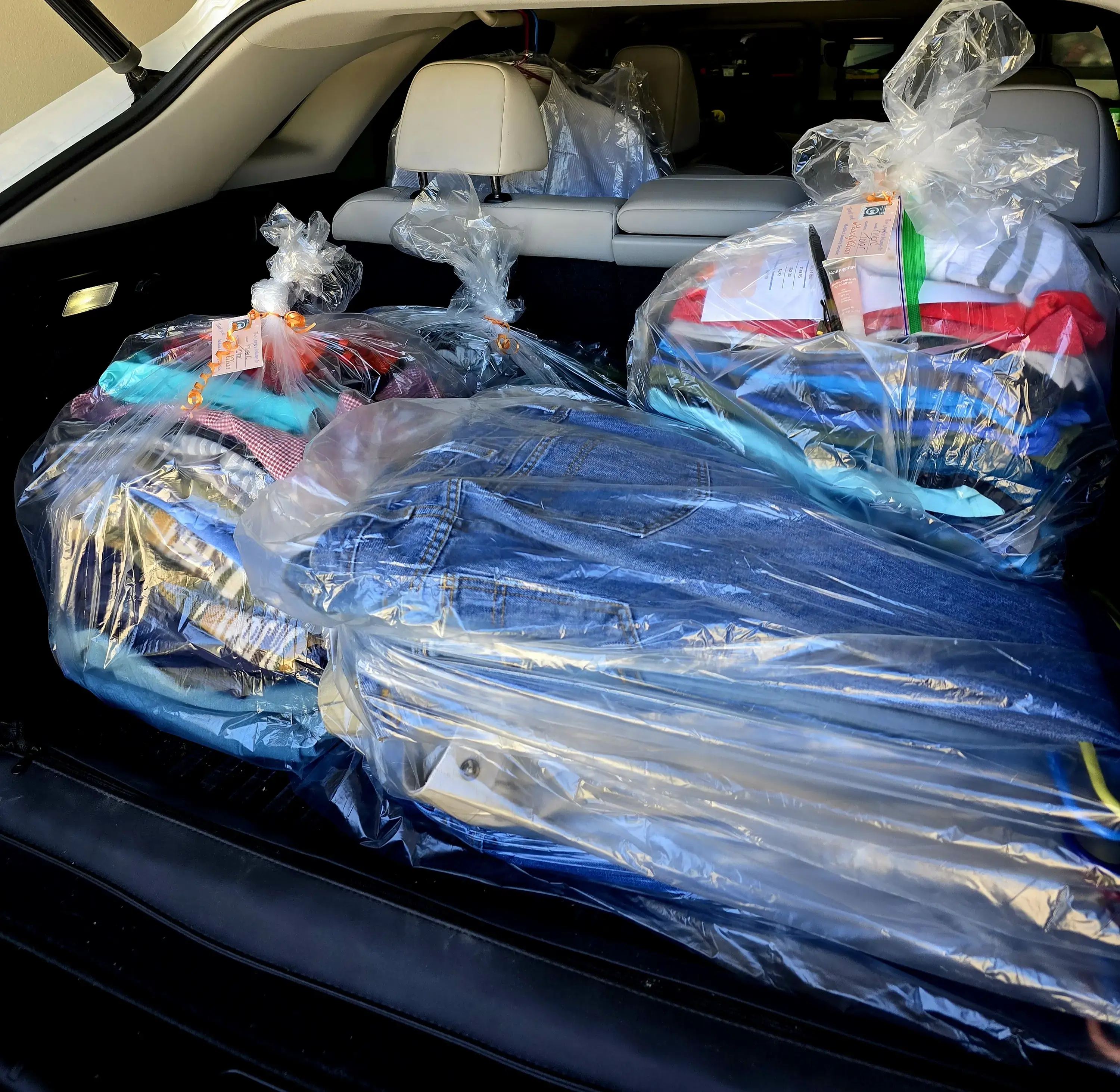 Peachy Clean Mobile Laundry Service - Image 2