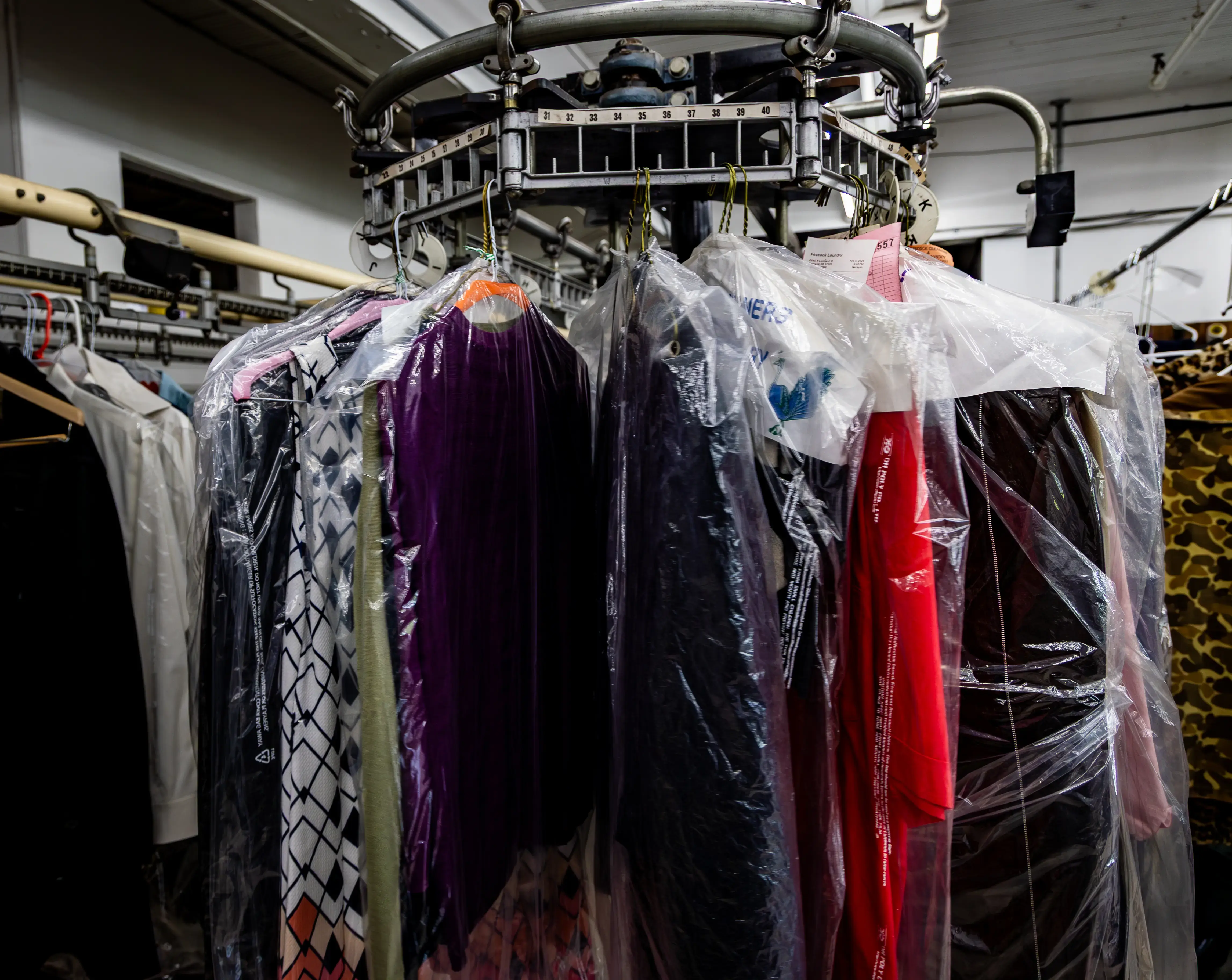 Peacock Laundry thumbnail 6
