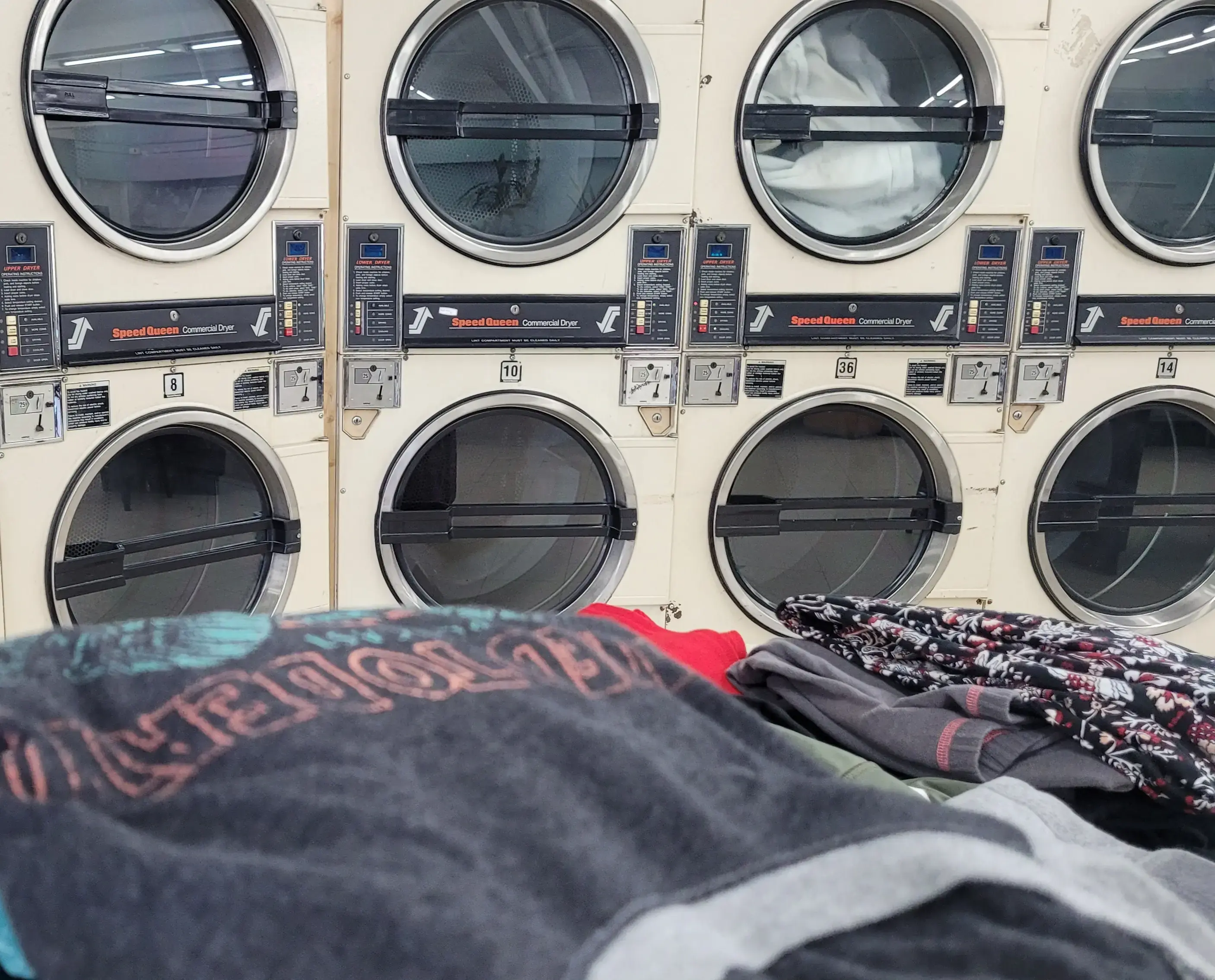 Peacock Laundry thumbnail 10
