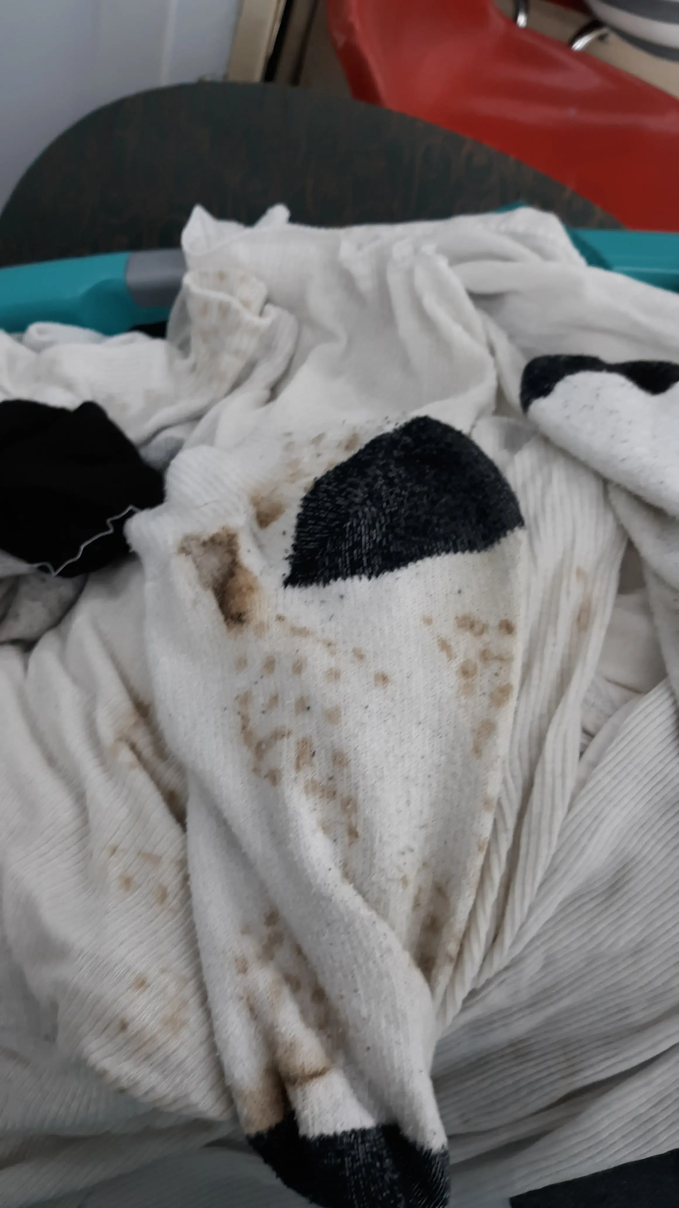 Peacock Laundry - Image 17