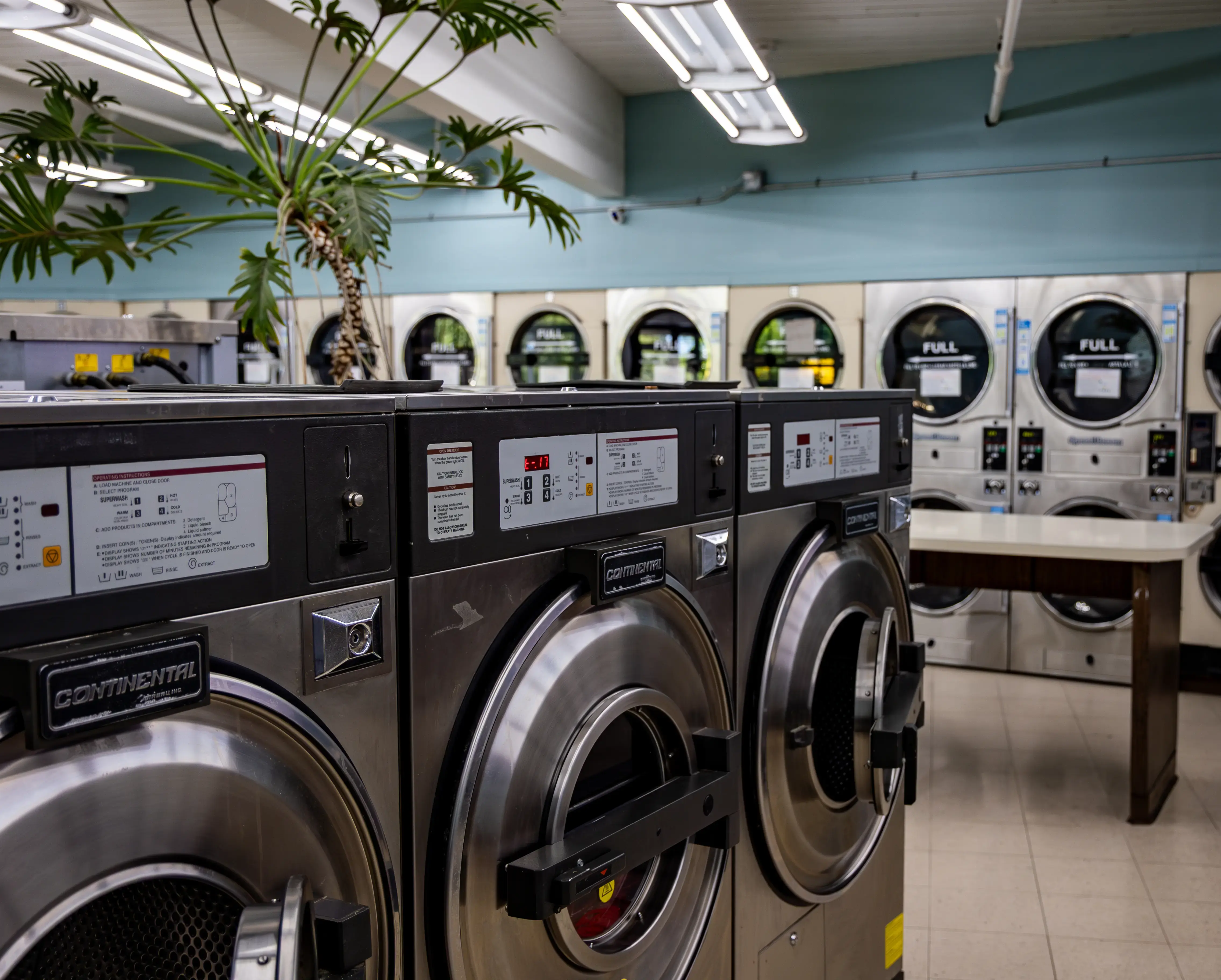 Peacock Laundry thumbnail 2