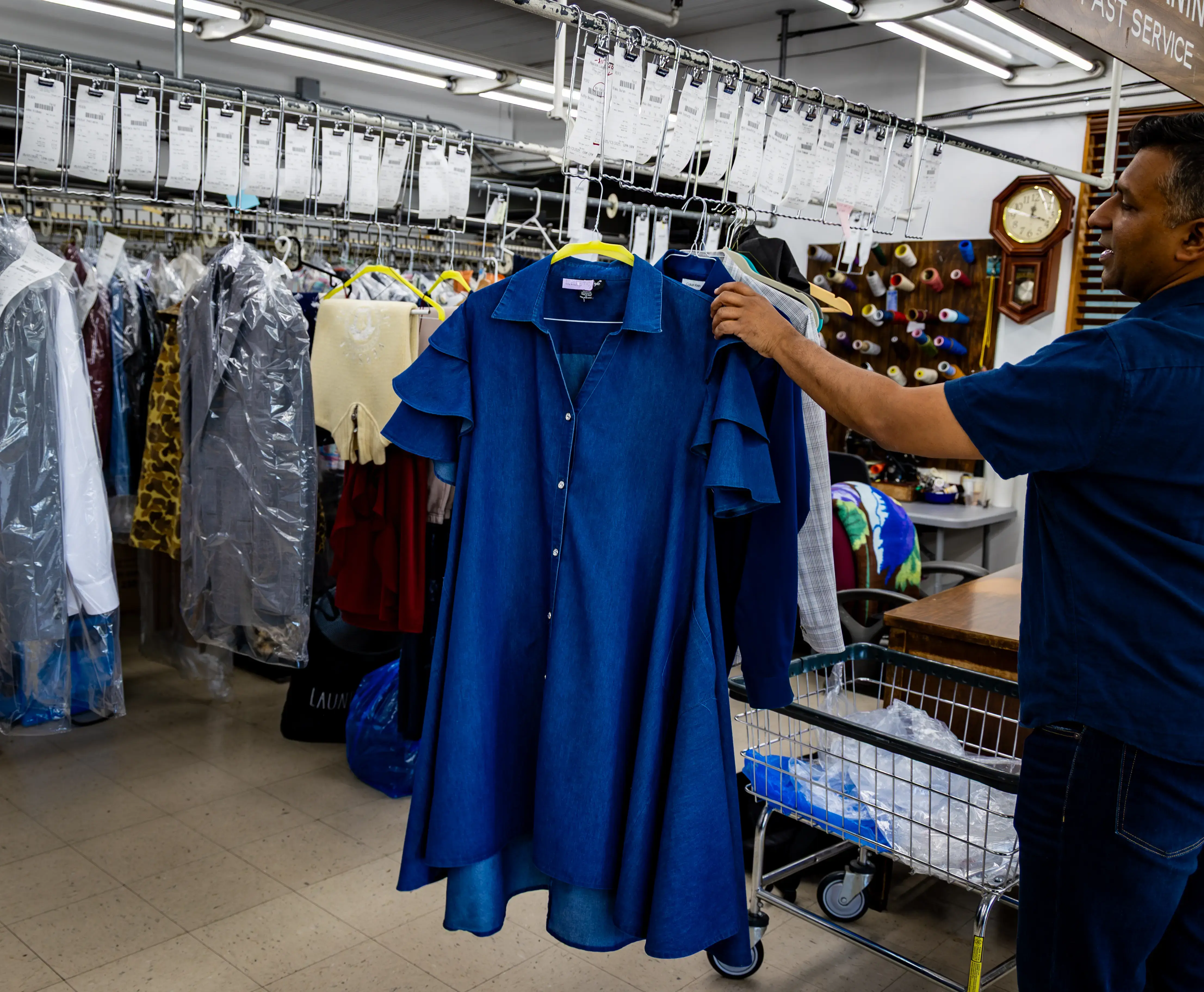 Peacock Laundry - Image 3