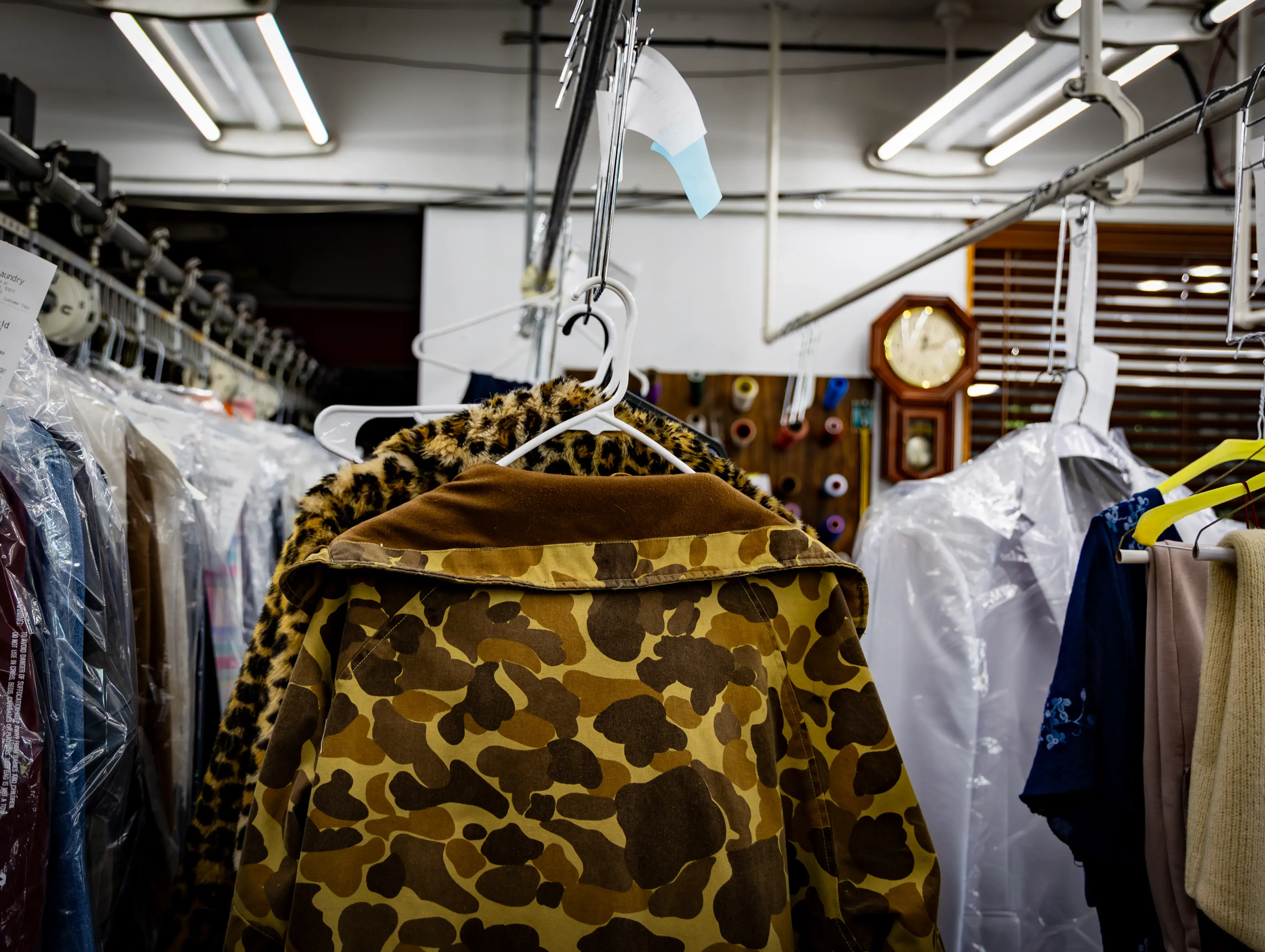 Peacock Laundry thumbnail 20