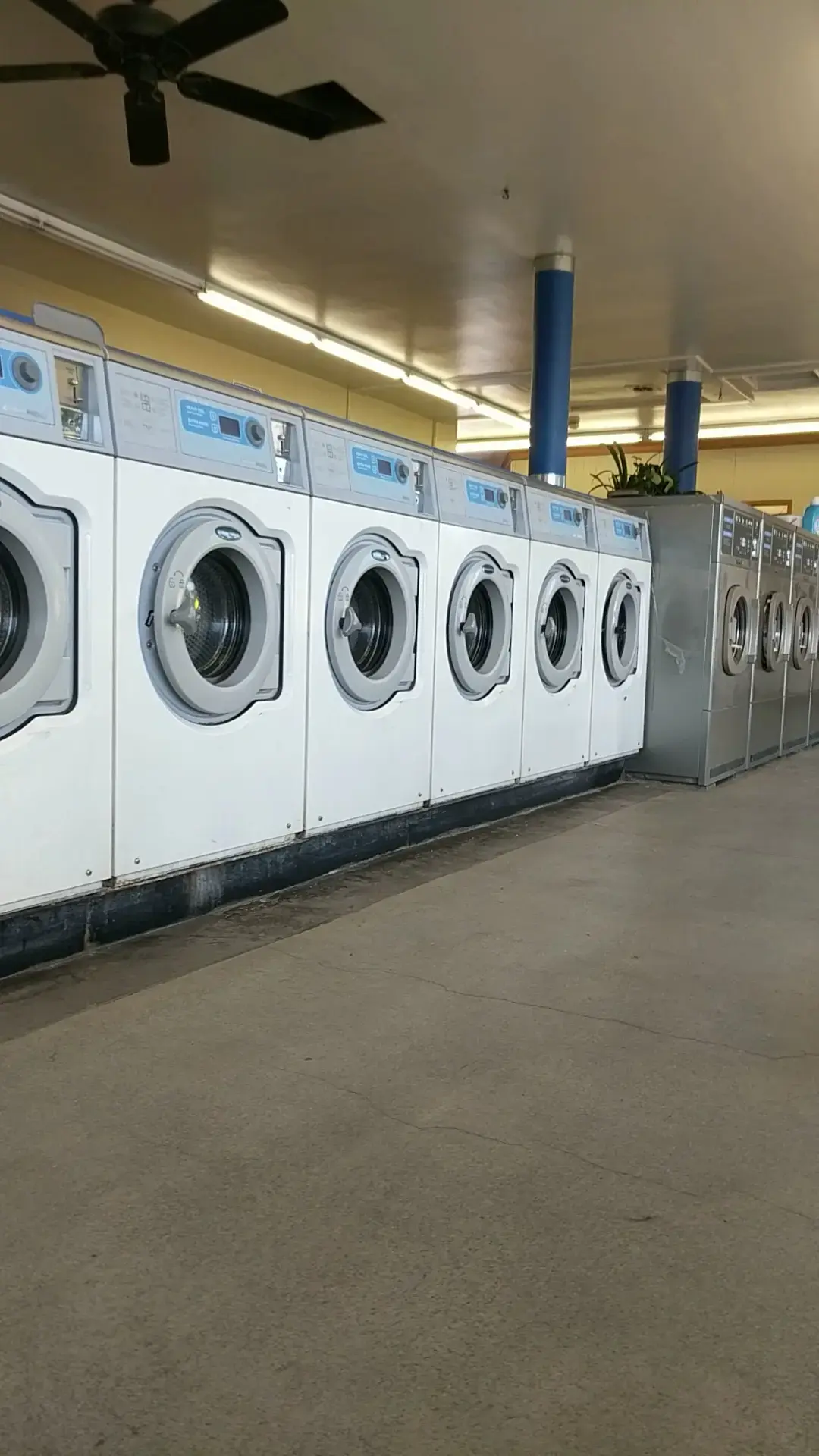 Pearl Car Wash & Laundry/Fallbrook, Inc. location