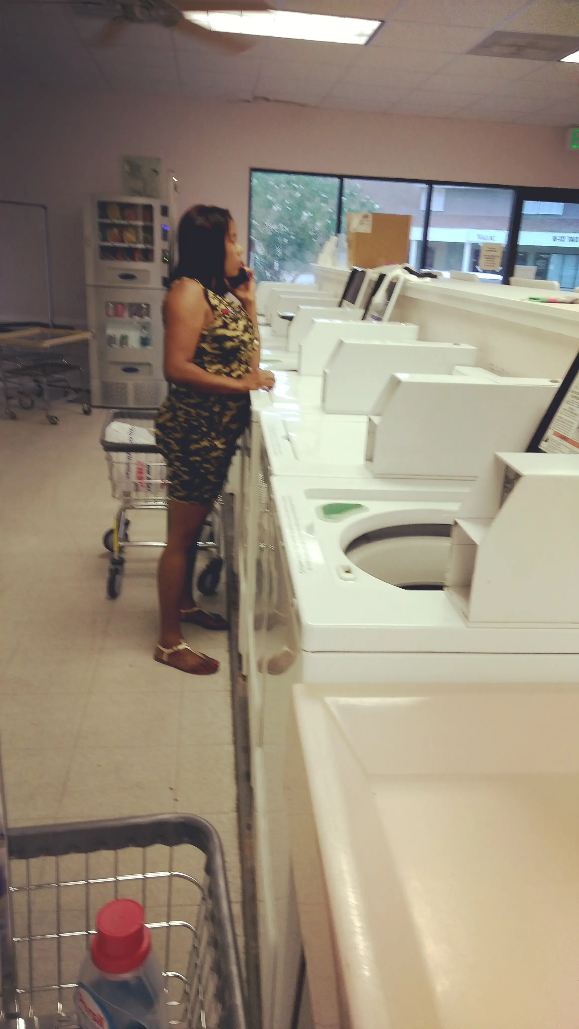 Pelican Laundromat thumbnail 8