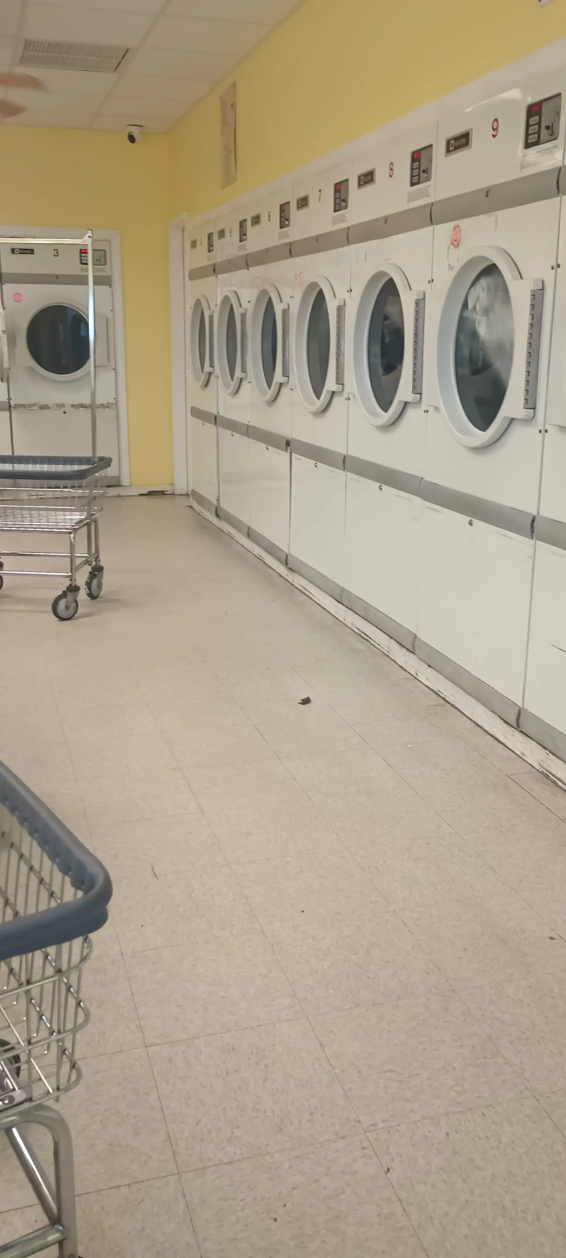 Pelican Laundromat - Image 20