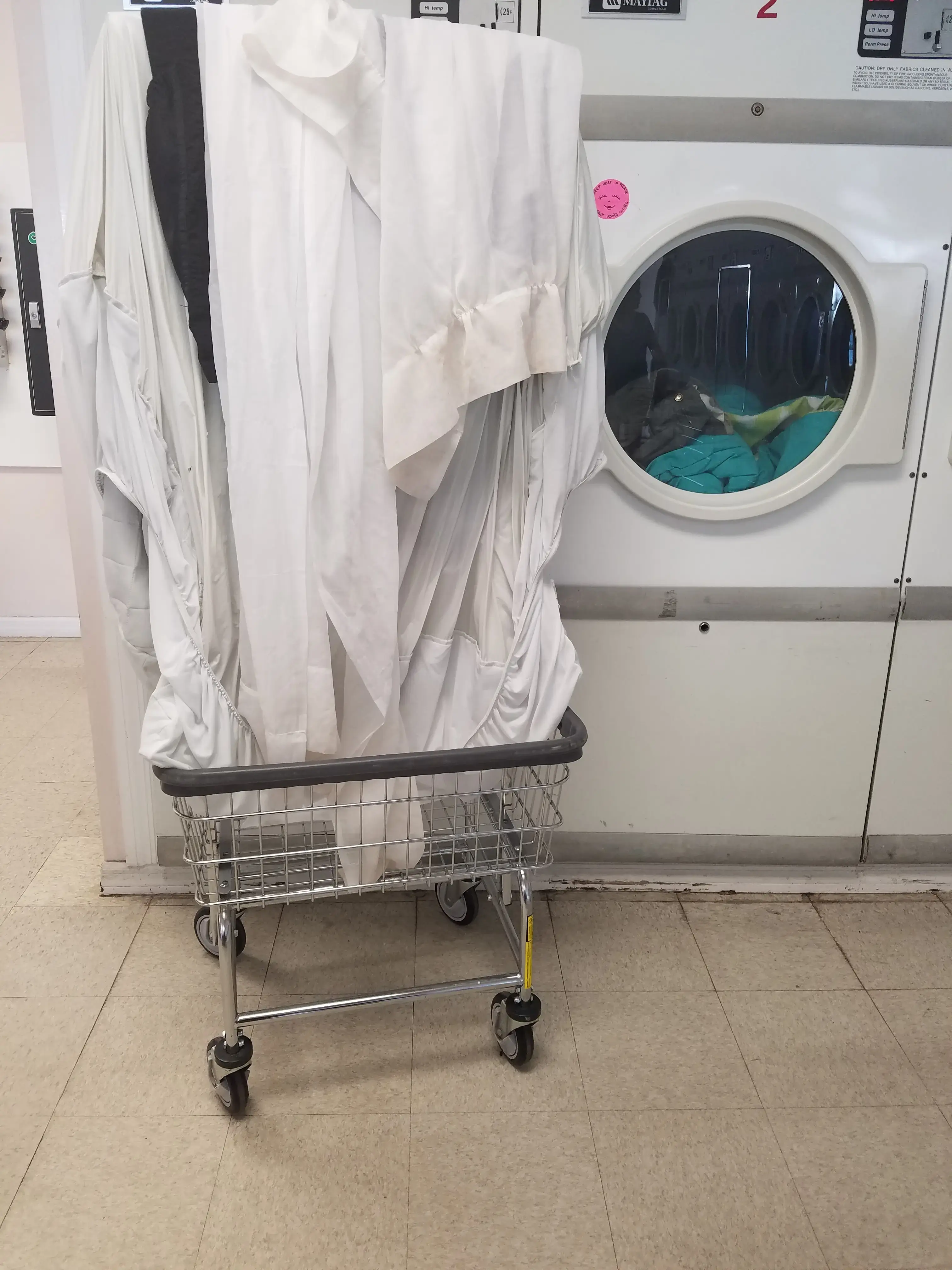 Pelican Laundromat thumbnail 15