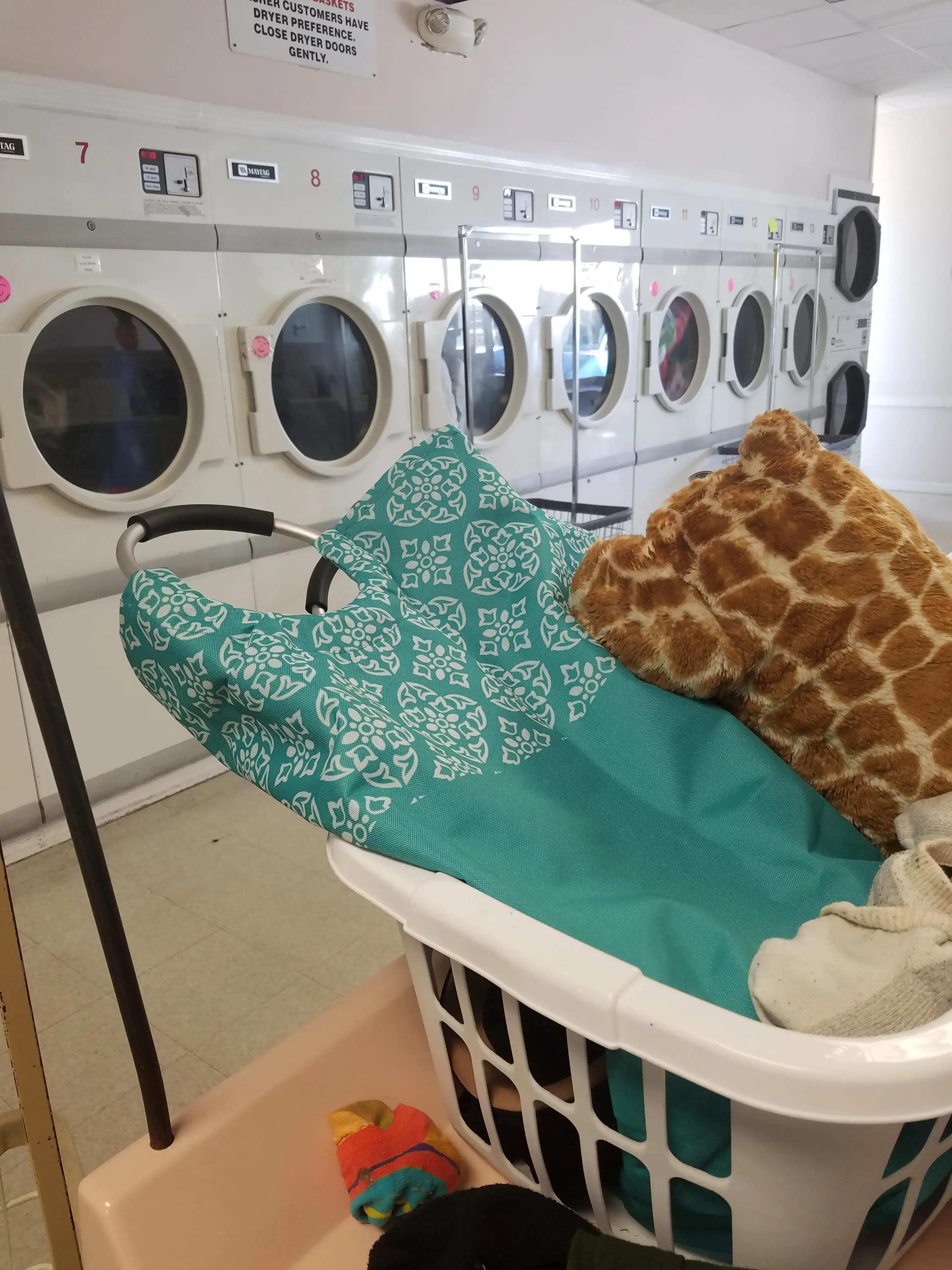 Pelican Laundromat thumbnail 13