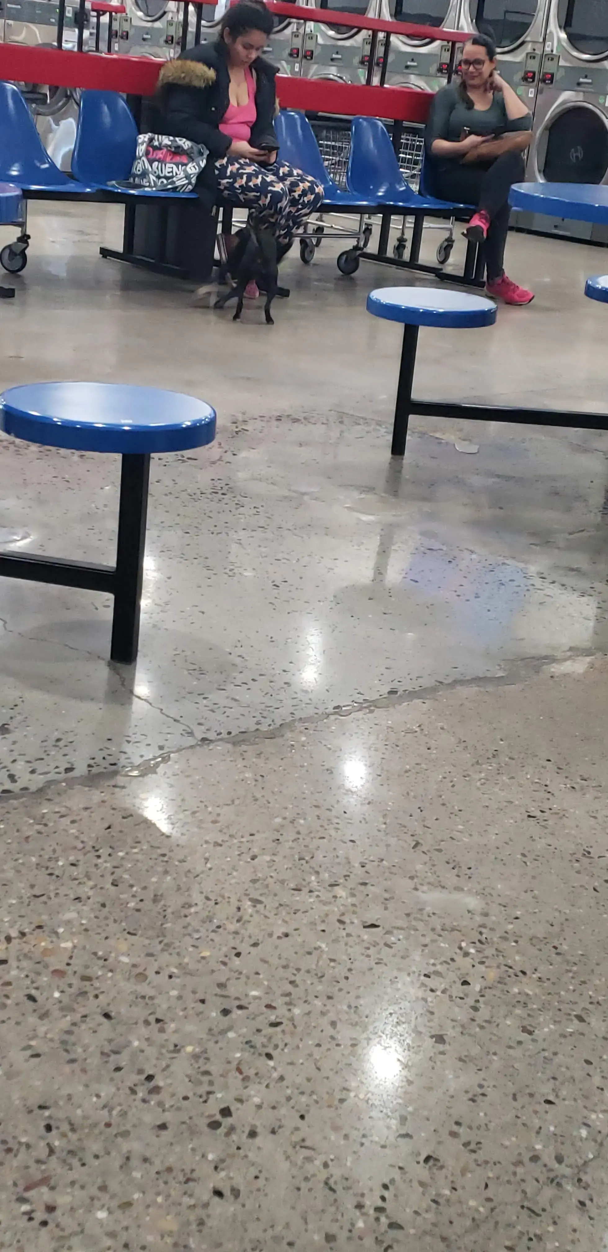 Pennsbury Plaza Laundry Zone - Image 18