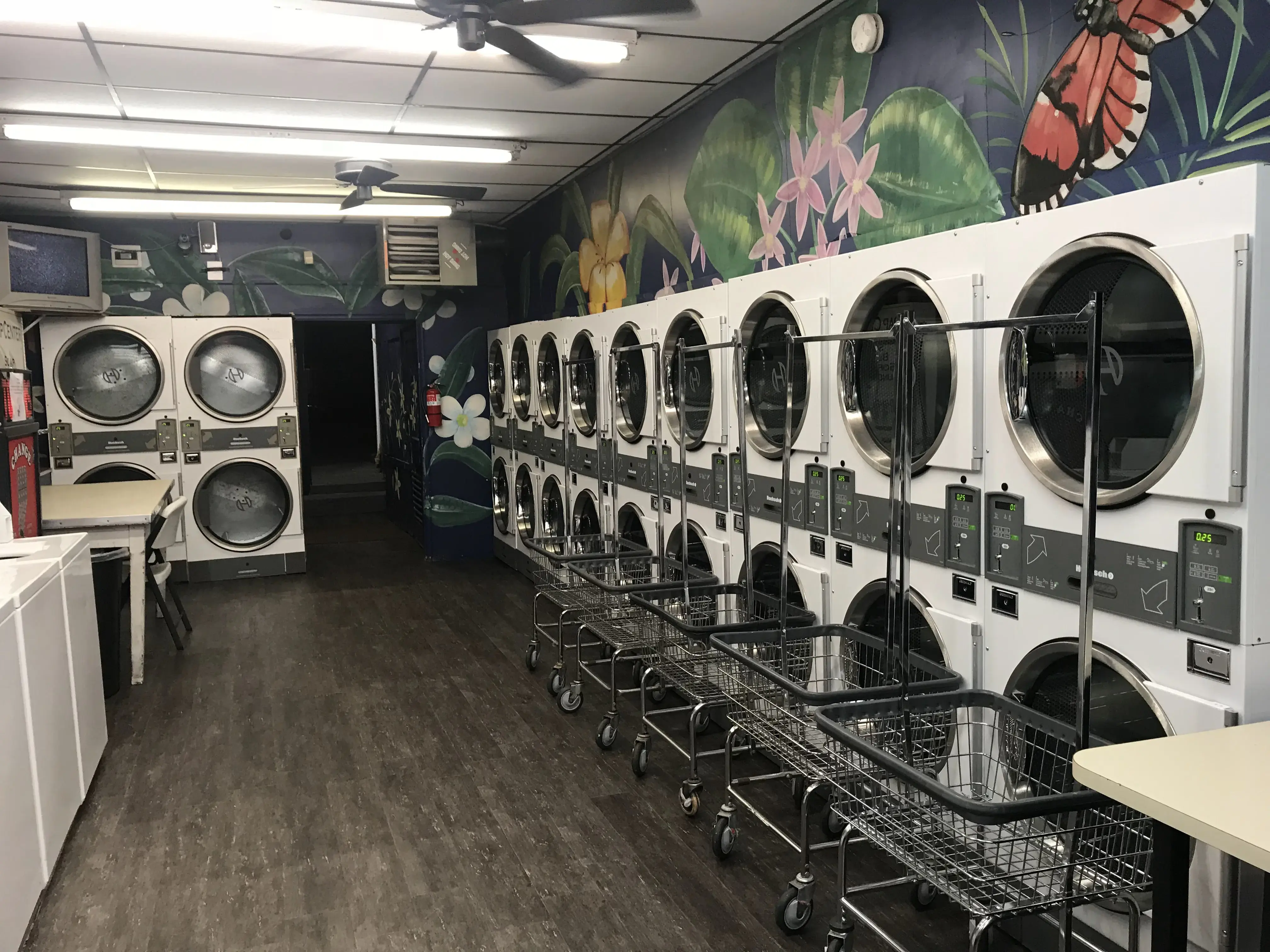 Peppy Wash Laundromat thumbnail 2