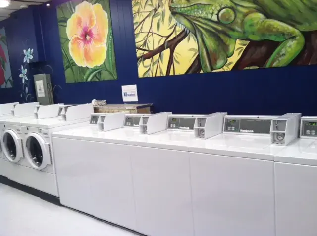 Peppy Wash Laundromat - Image 18