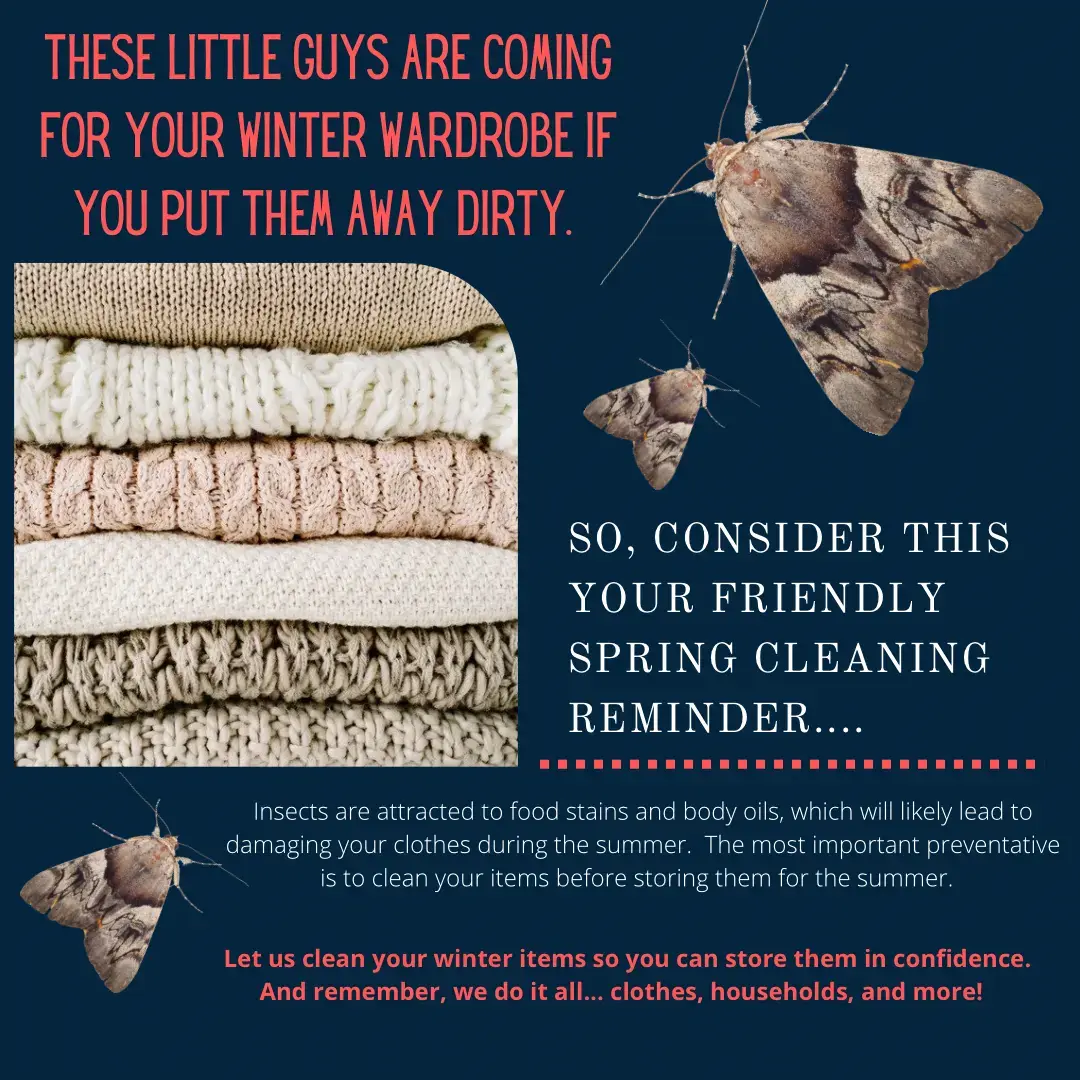 Phoenix Cleaners thumbnail 19