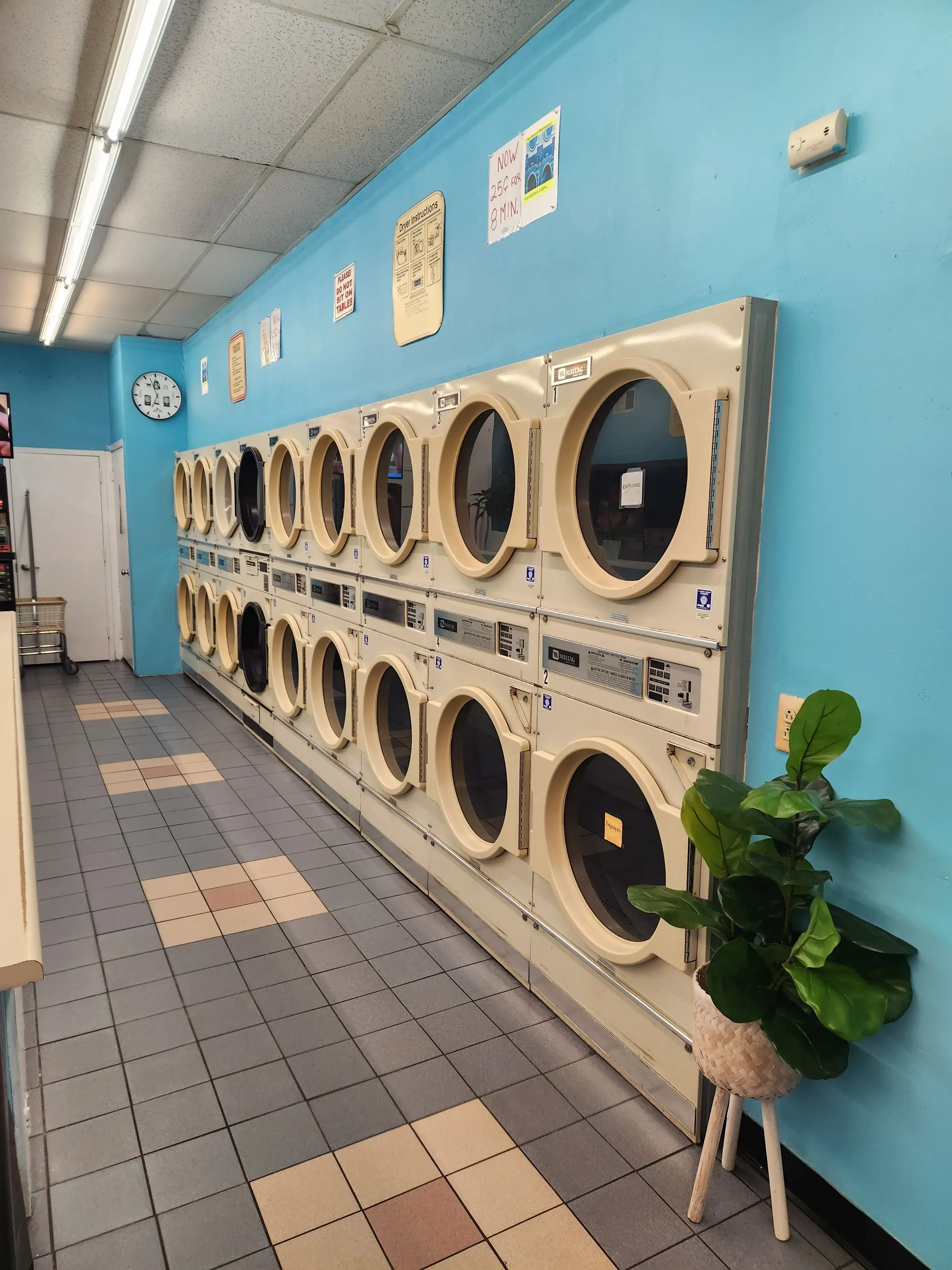 Piccolina's Laundromat - Image 2