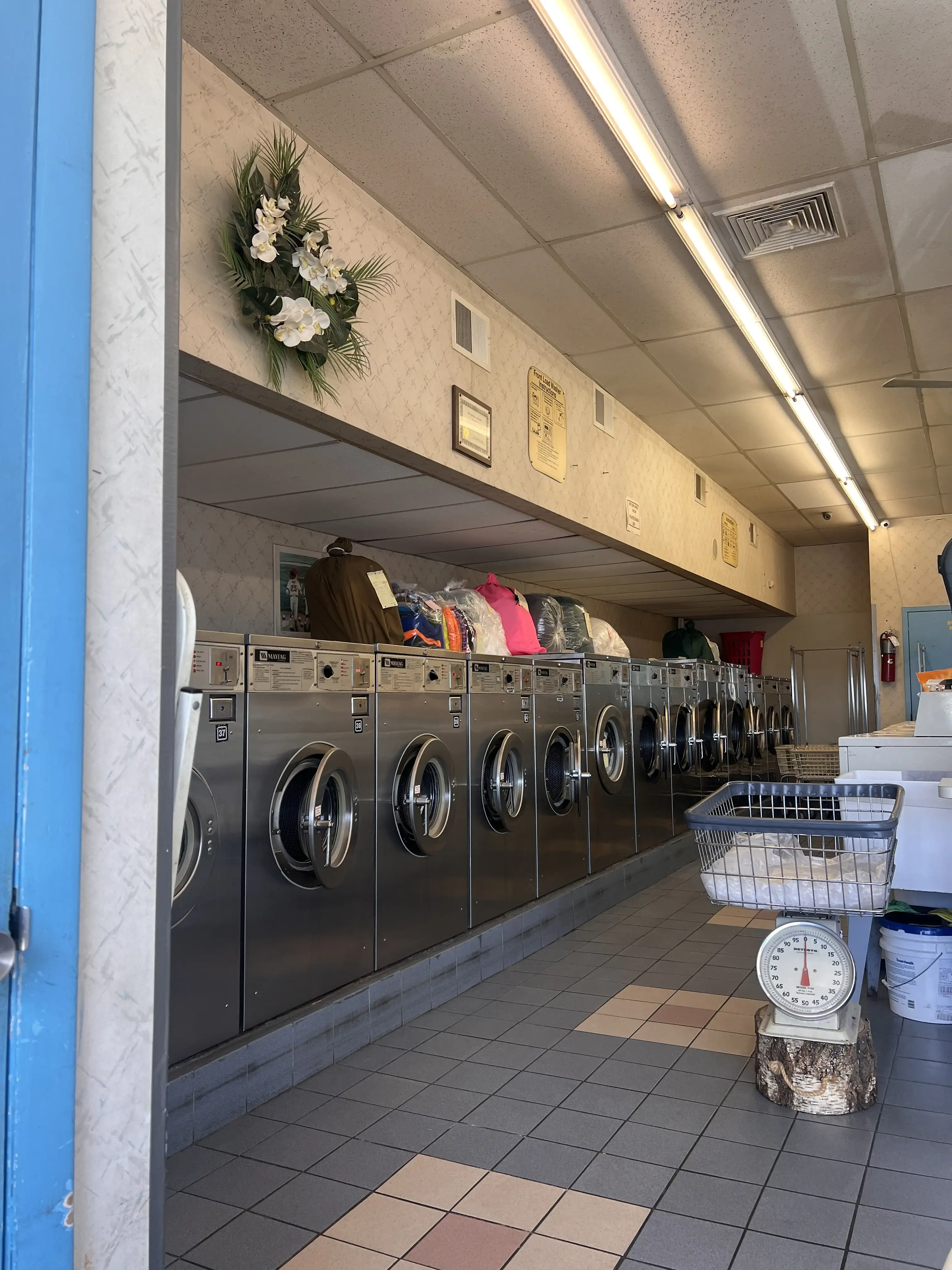 Piccolina's Laundromat thumbnail 6