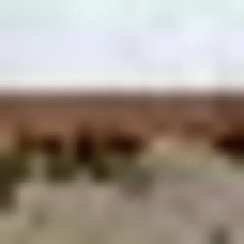 Pilgrim Dry Cleaners thumbnail 18